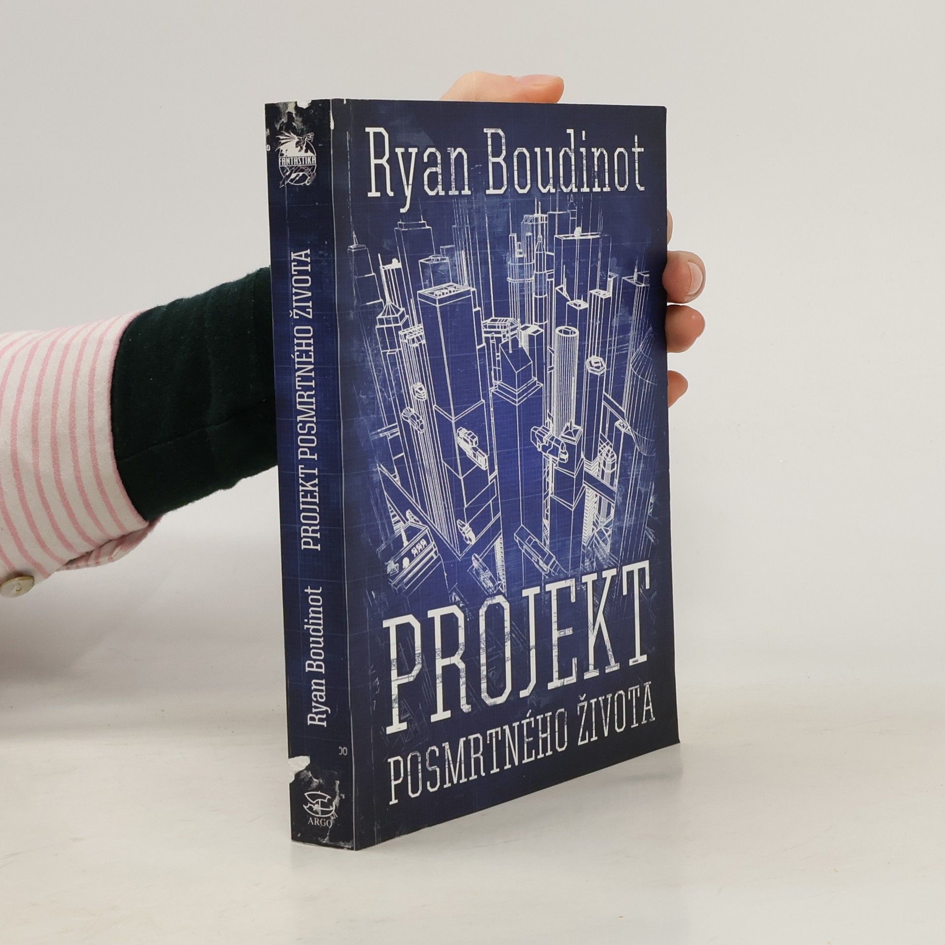 Projekt posmrtného života