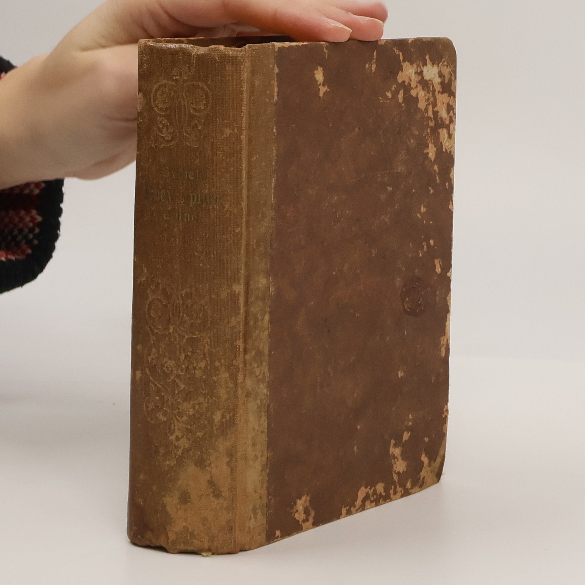 František Hampl Dvojí dobrodružství Karla Gabriela