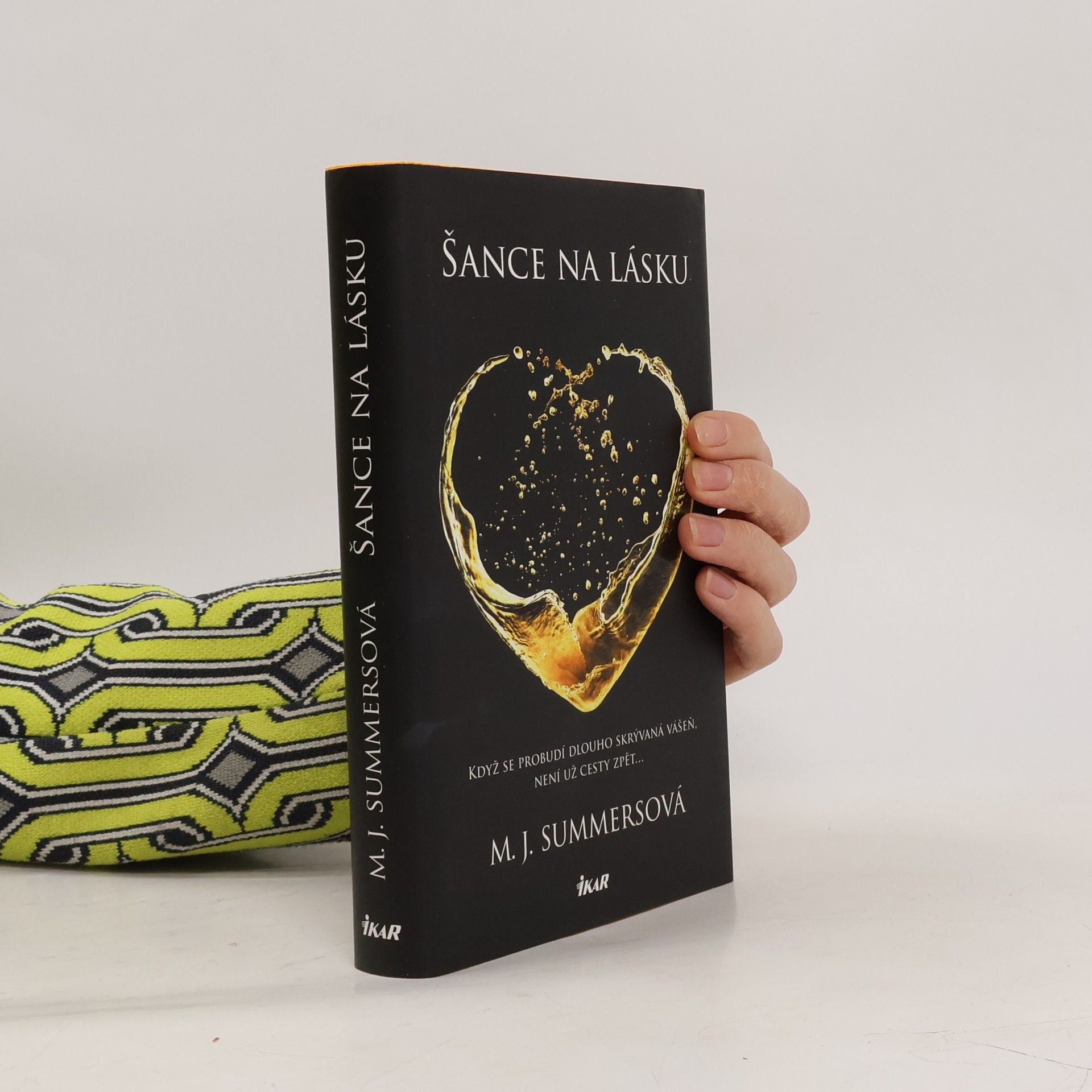 M. J. Summers Šance na lásku