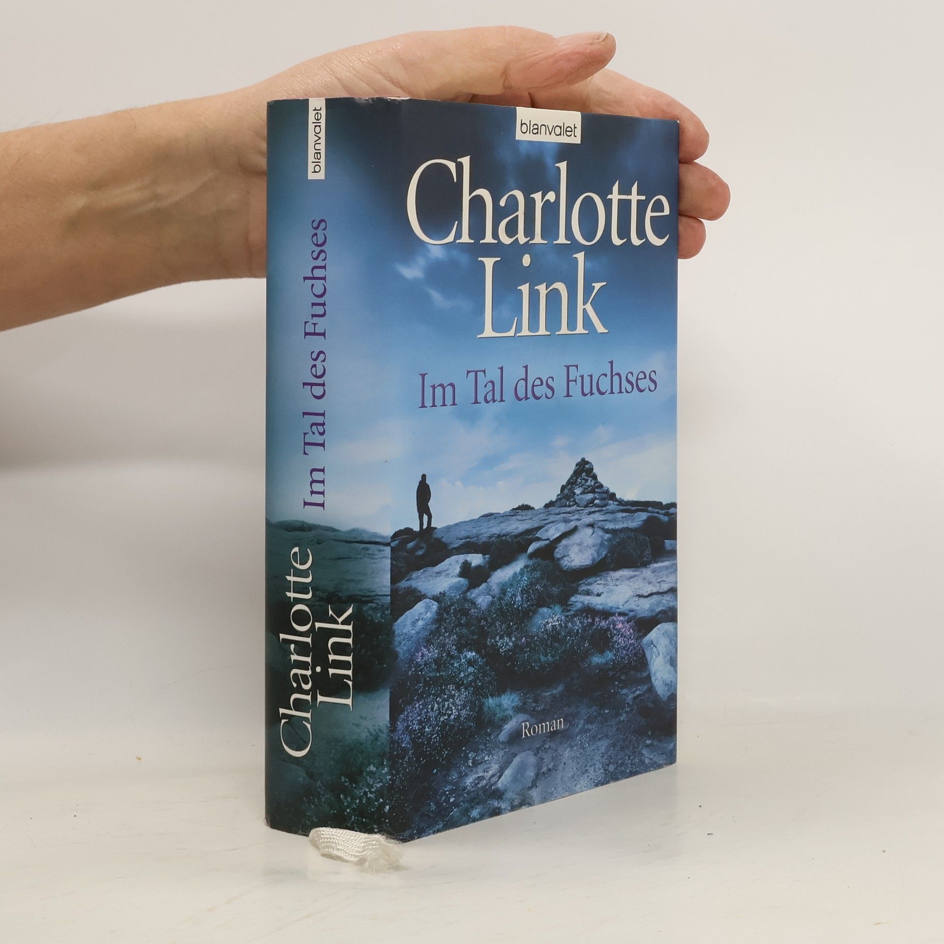 Charlotte Link Im Tal des Fuchses