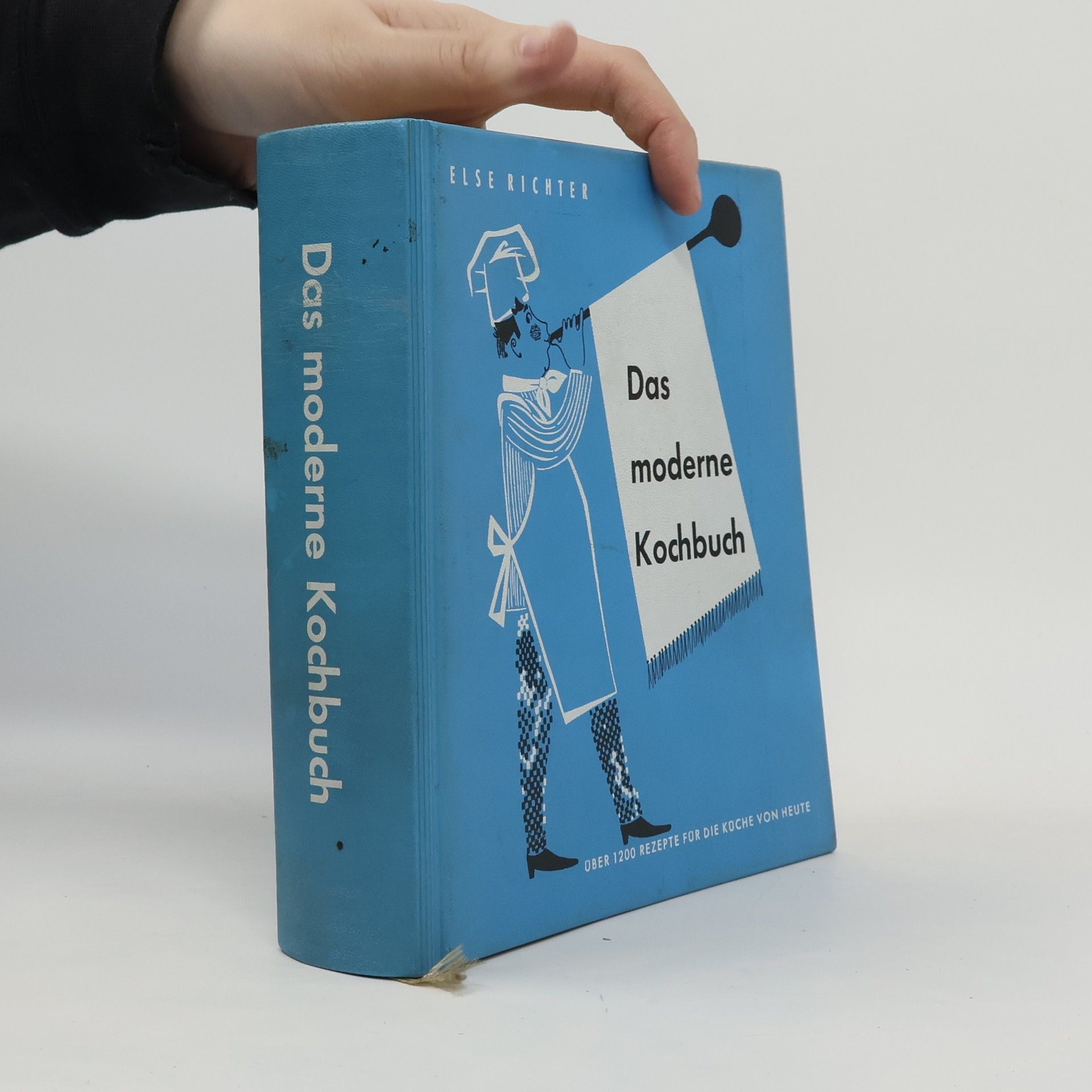Else Richter Das moderne Kochbuch
