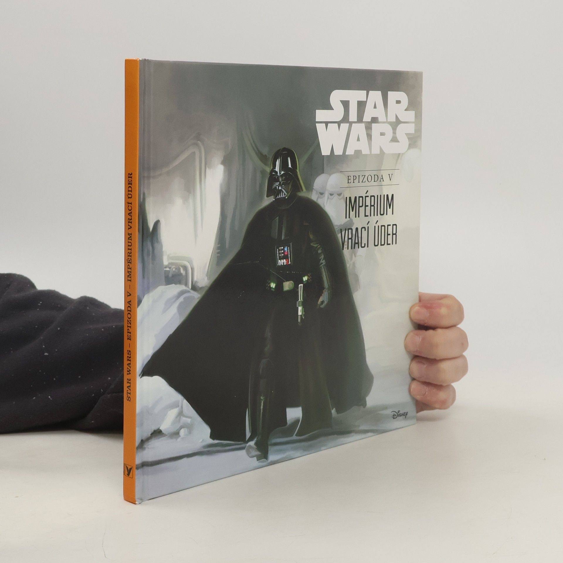 Ryder Windham Star Wars. Epizoda V, Impérium vrací úder