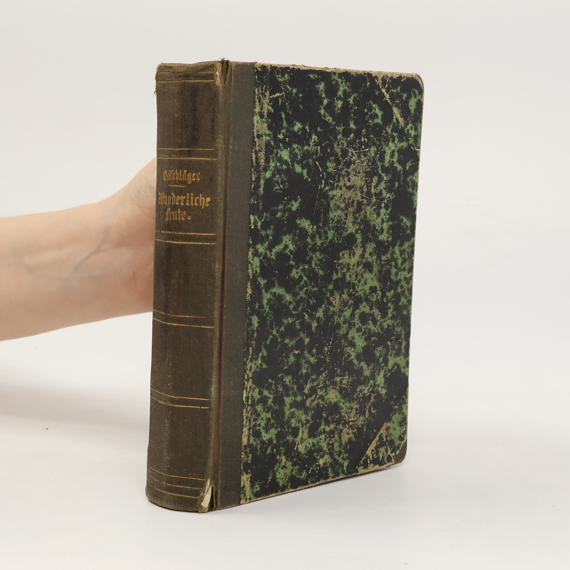 Hermann Oelschläger Wunderliche Leute