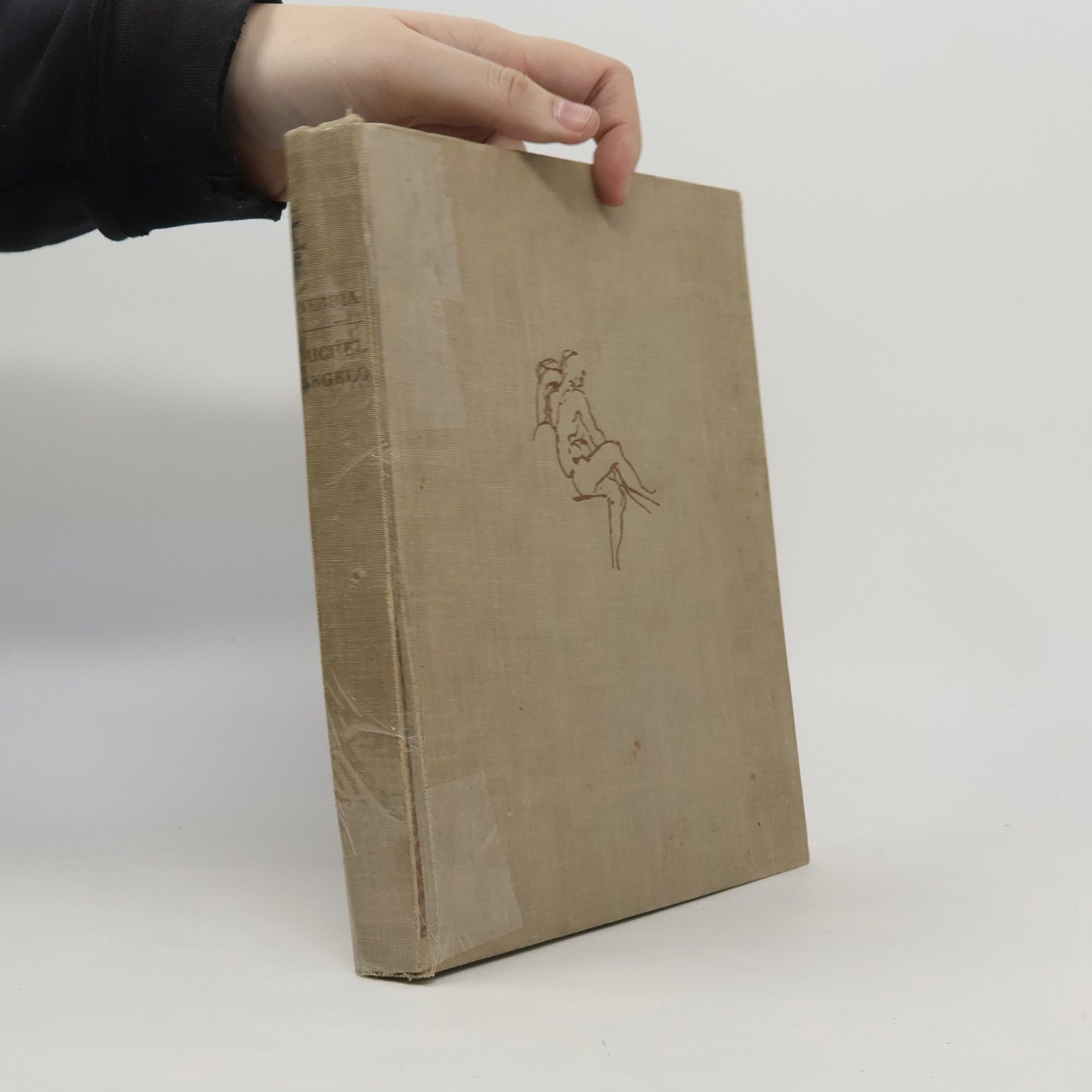 Ugo Nebbia Michelangelo