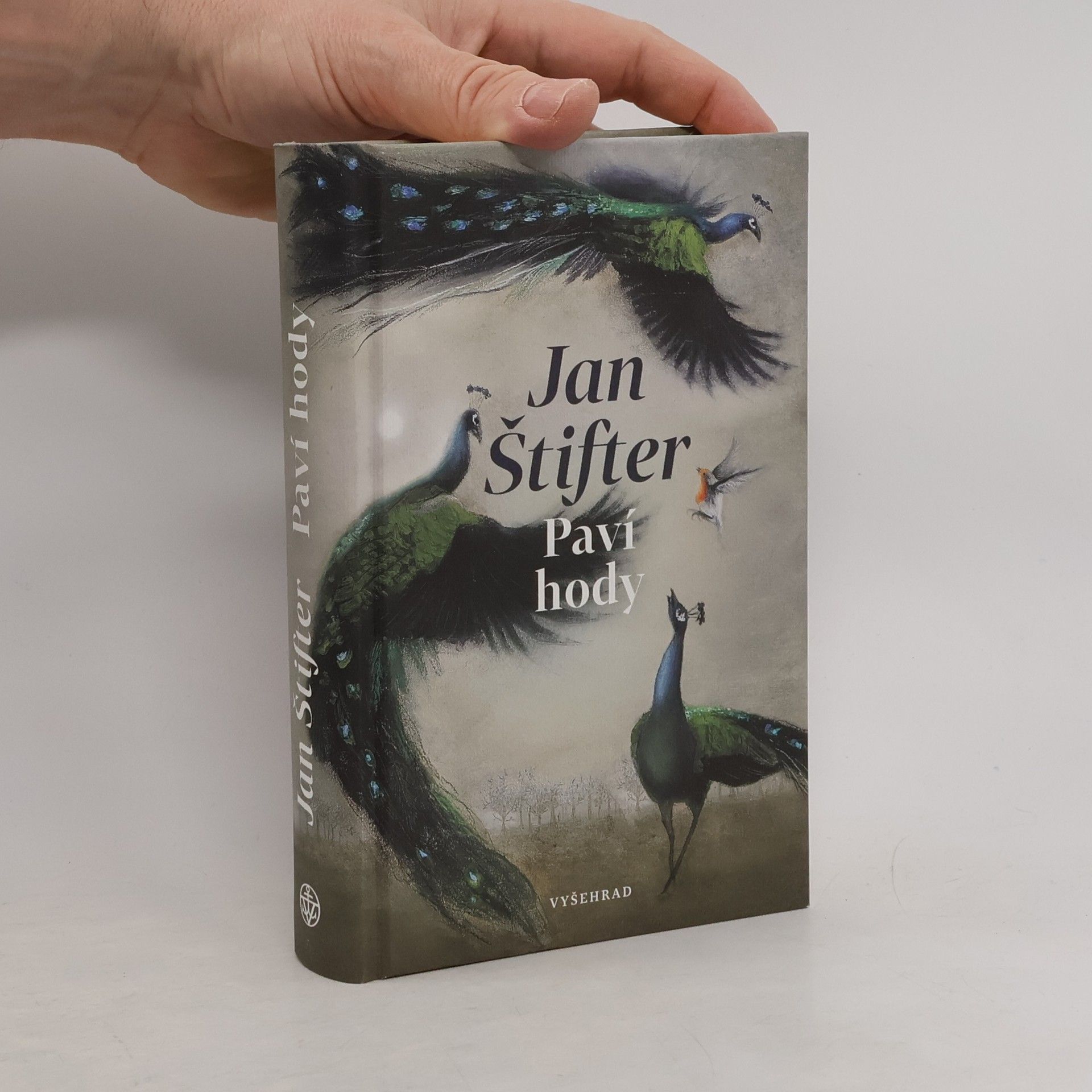 Jan Štifter Paví hody
