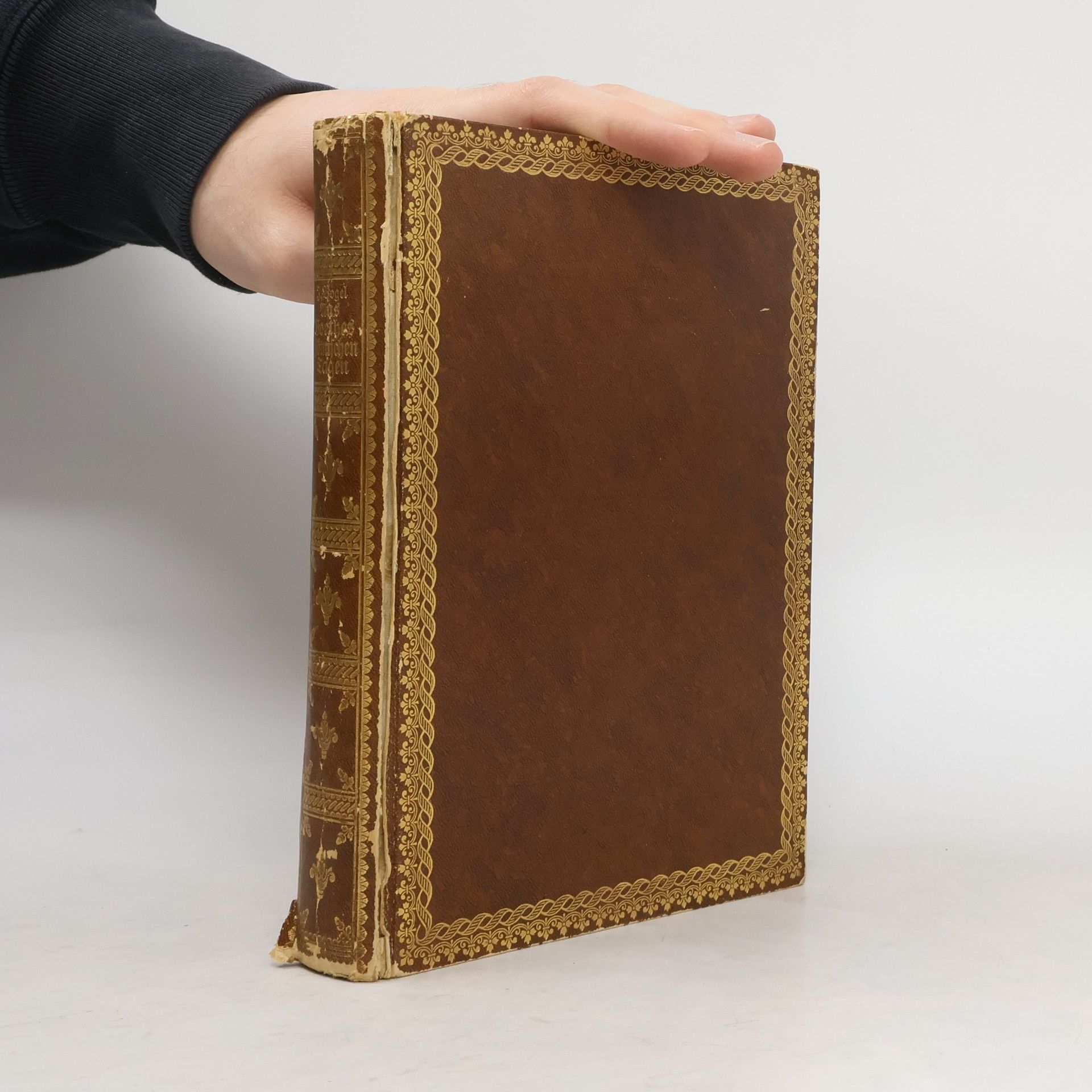 Julius Vogel Aus Goethes Römischen Tagen