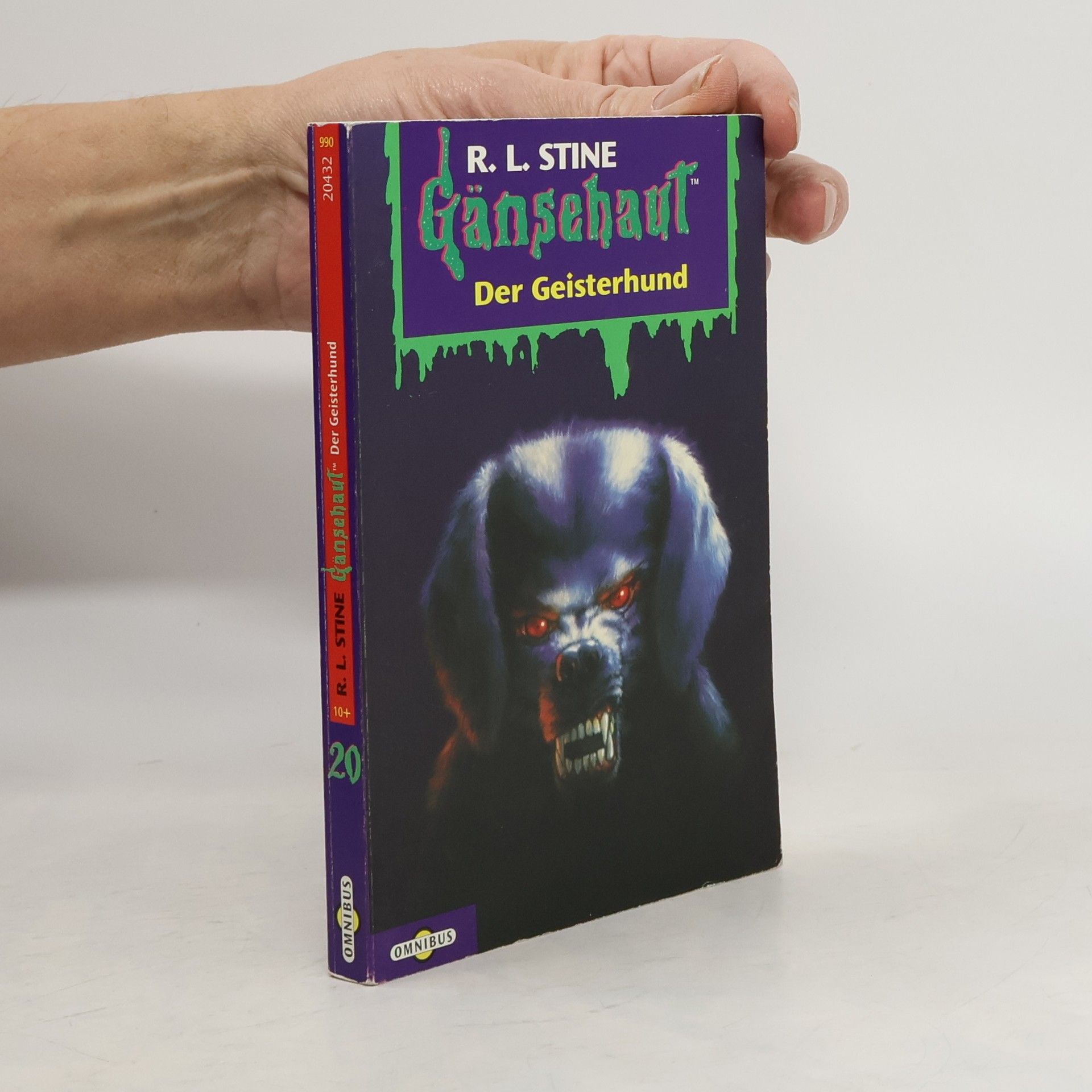 R. L. Stine Gänsehaut 20. Der Geisterhund