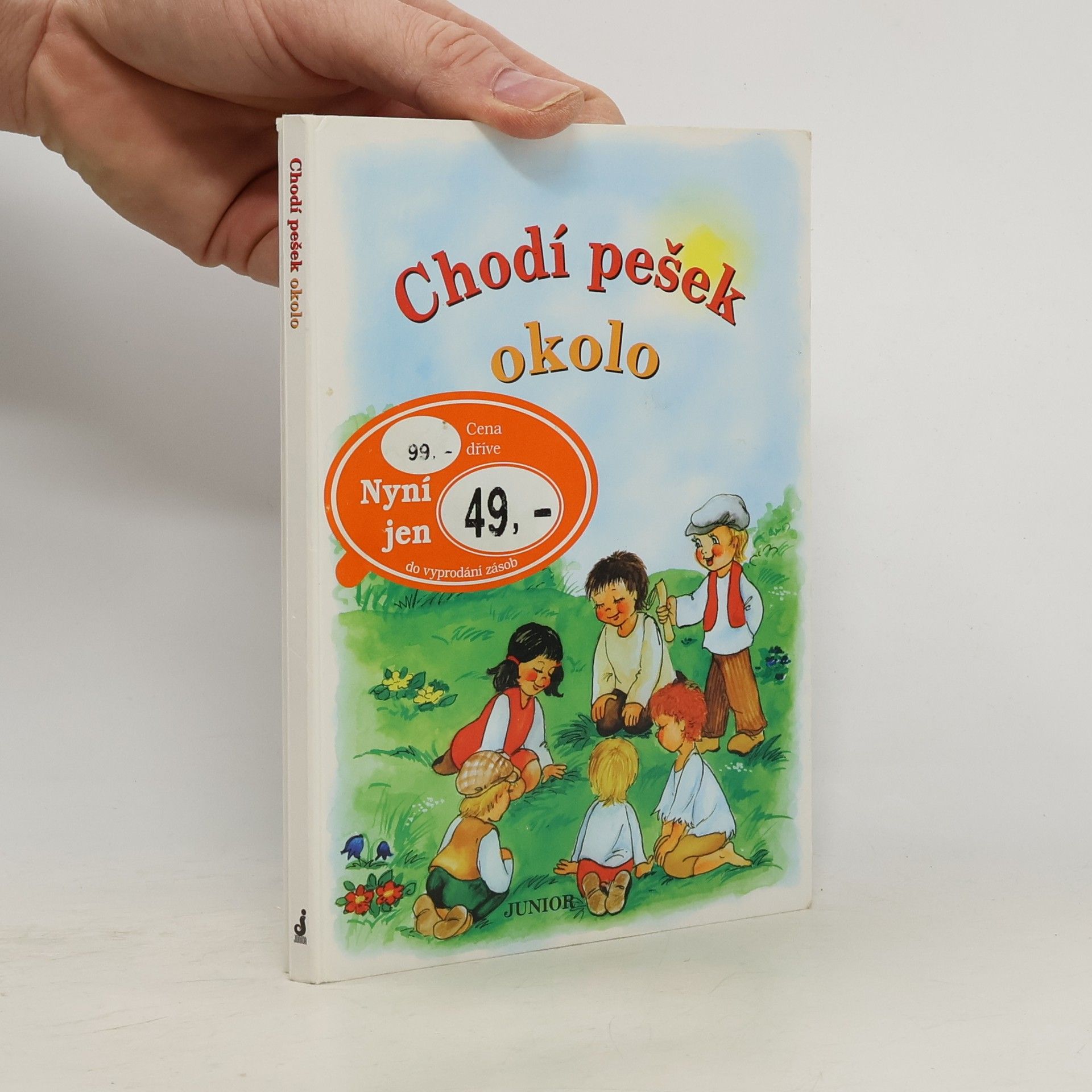 Vladimíra Vopičková Chodí pešek okolo (leporelo)