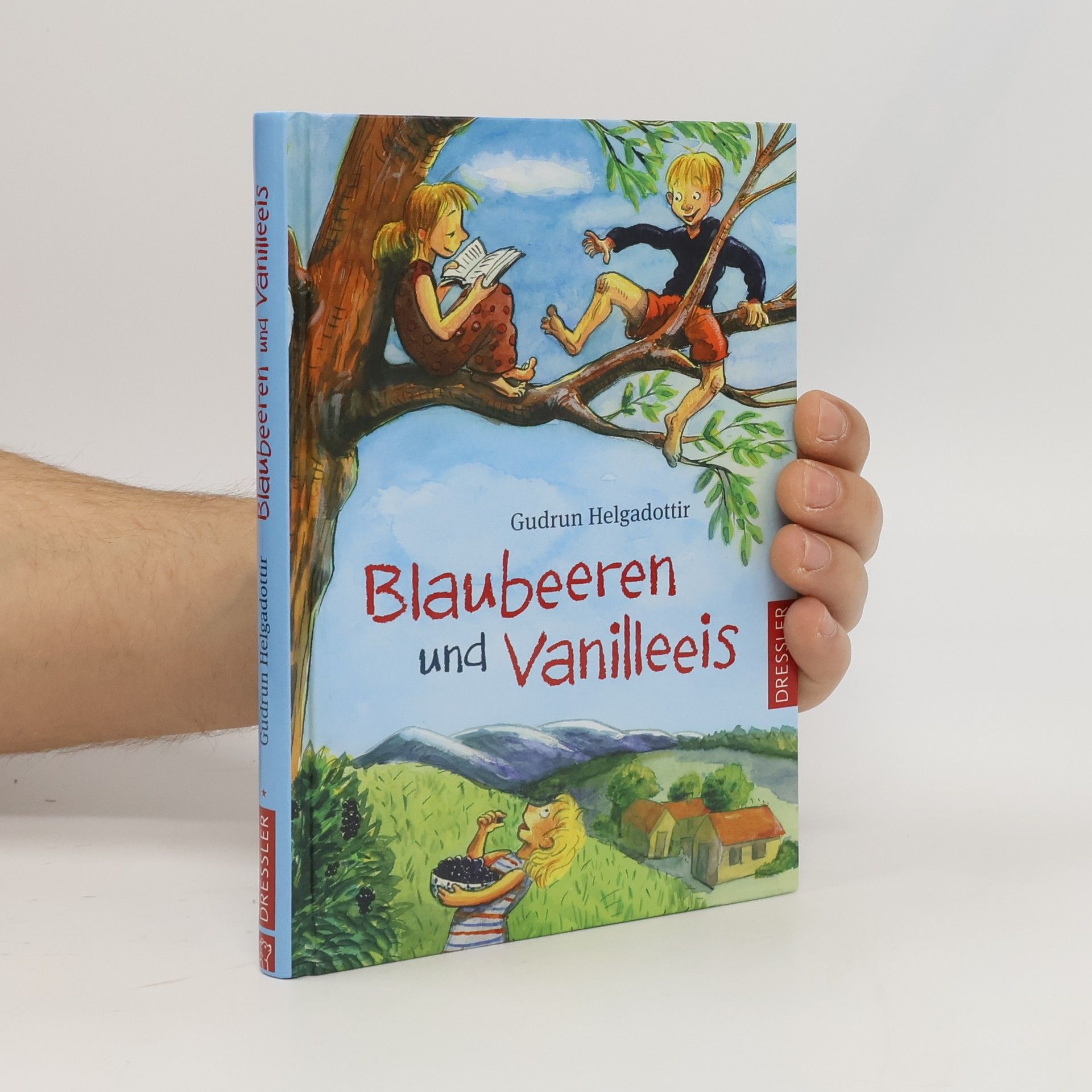 Gudrun Helgadottir Blaubeeren und Vanilleeis