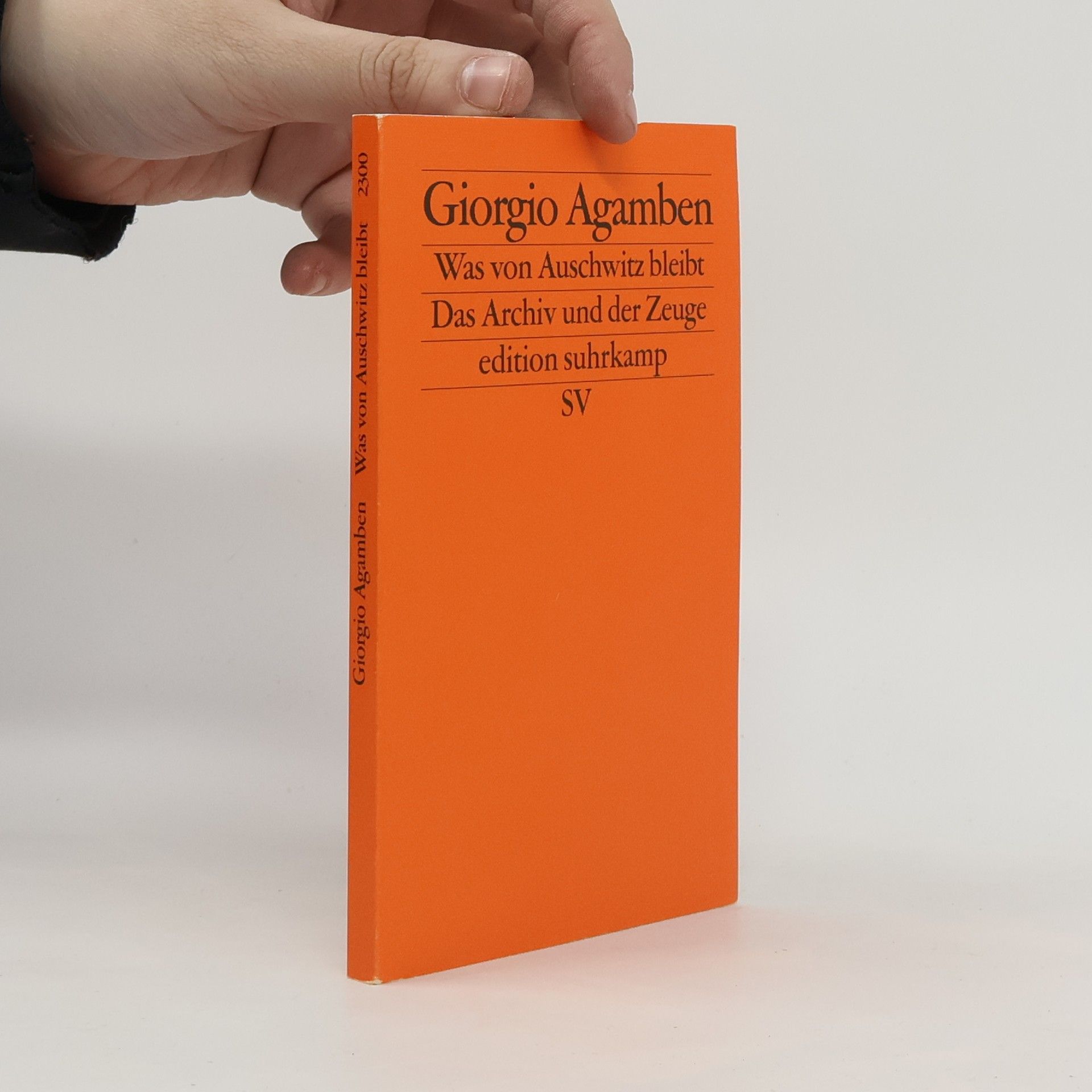 Giorgio Agamben Homo sacer 3