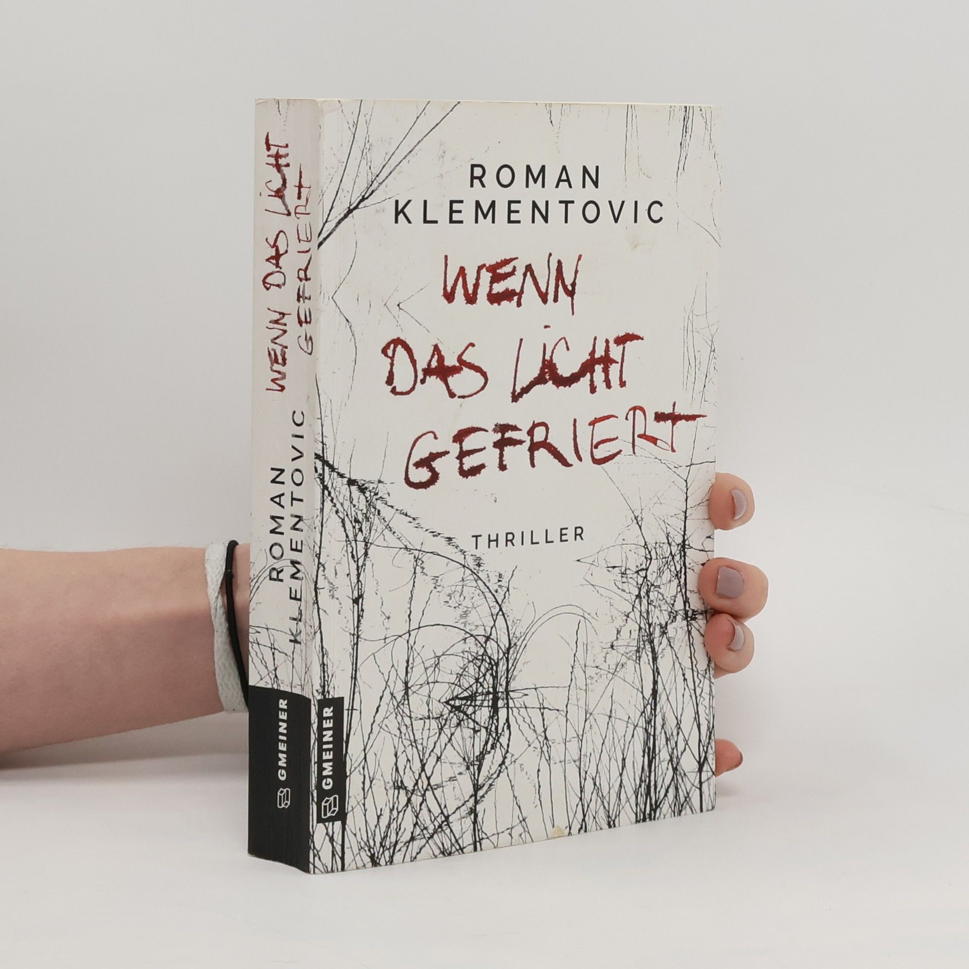 Roman Klementovic Wenn das Licht gefriert