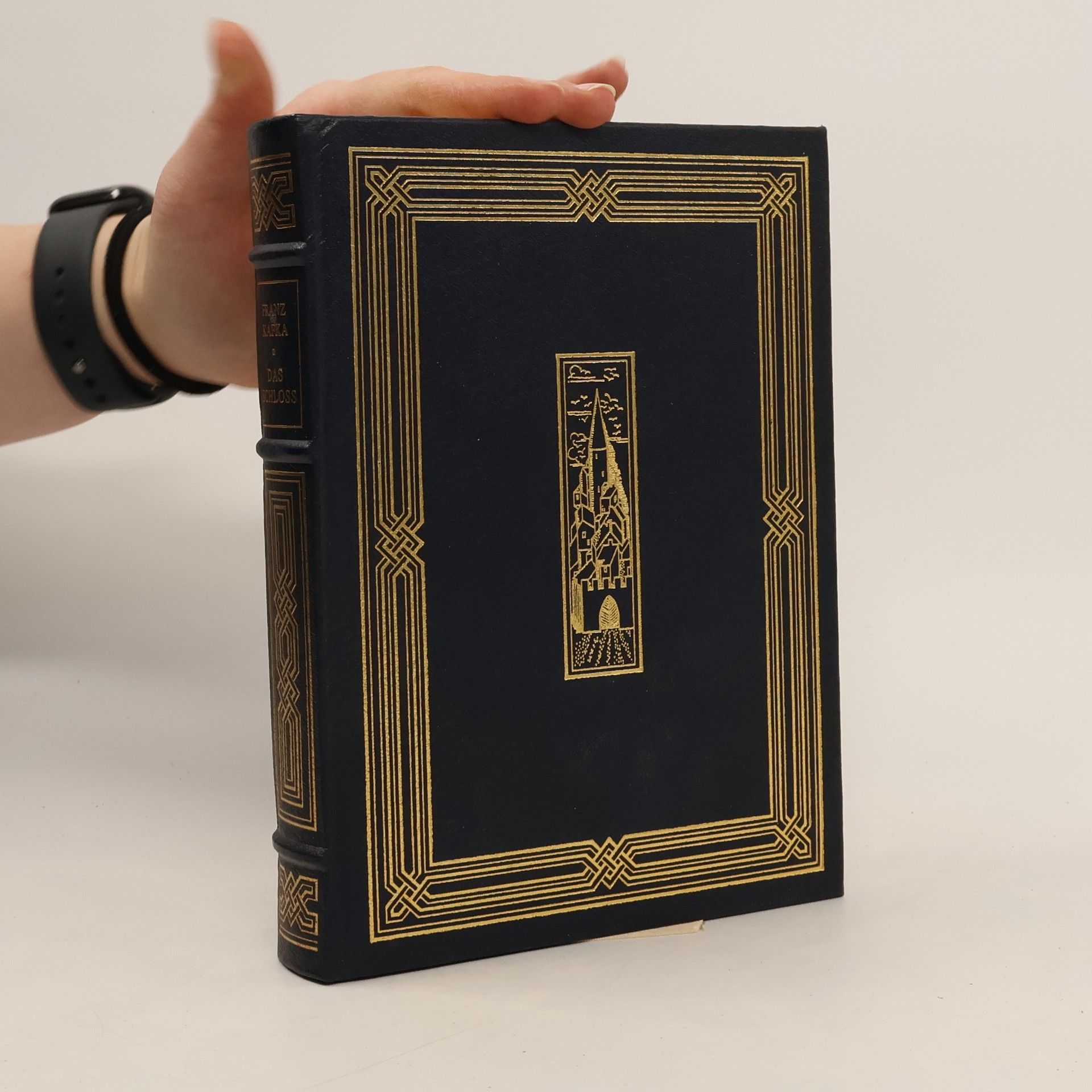 Franz Kafka Das Schloss