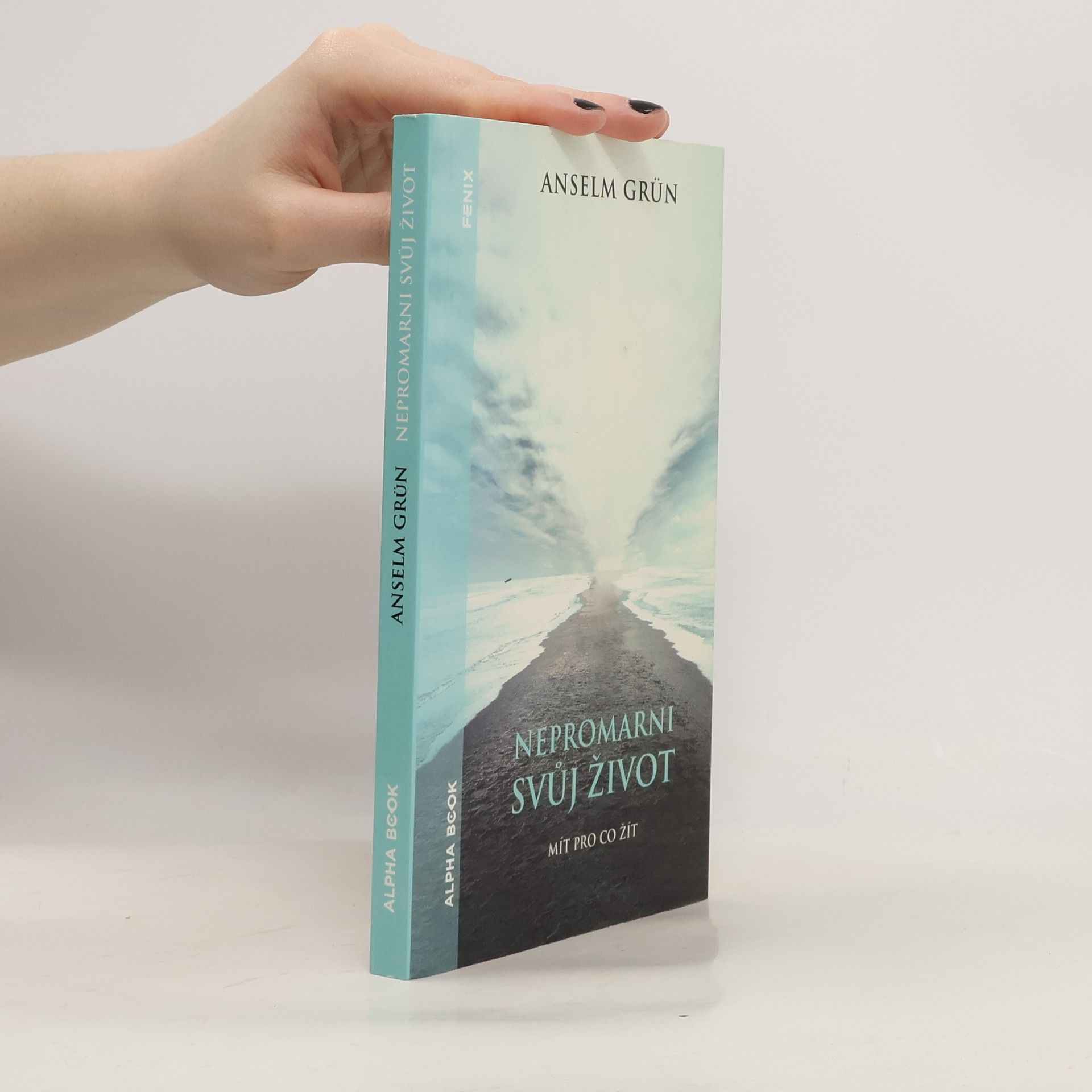 Anselm Grün Nepromarni svůj život