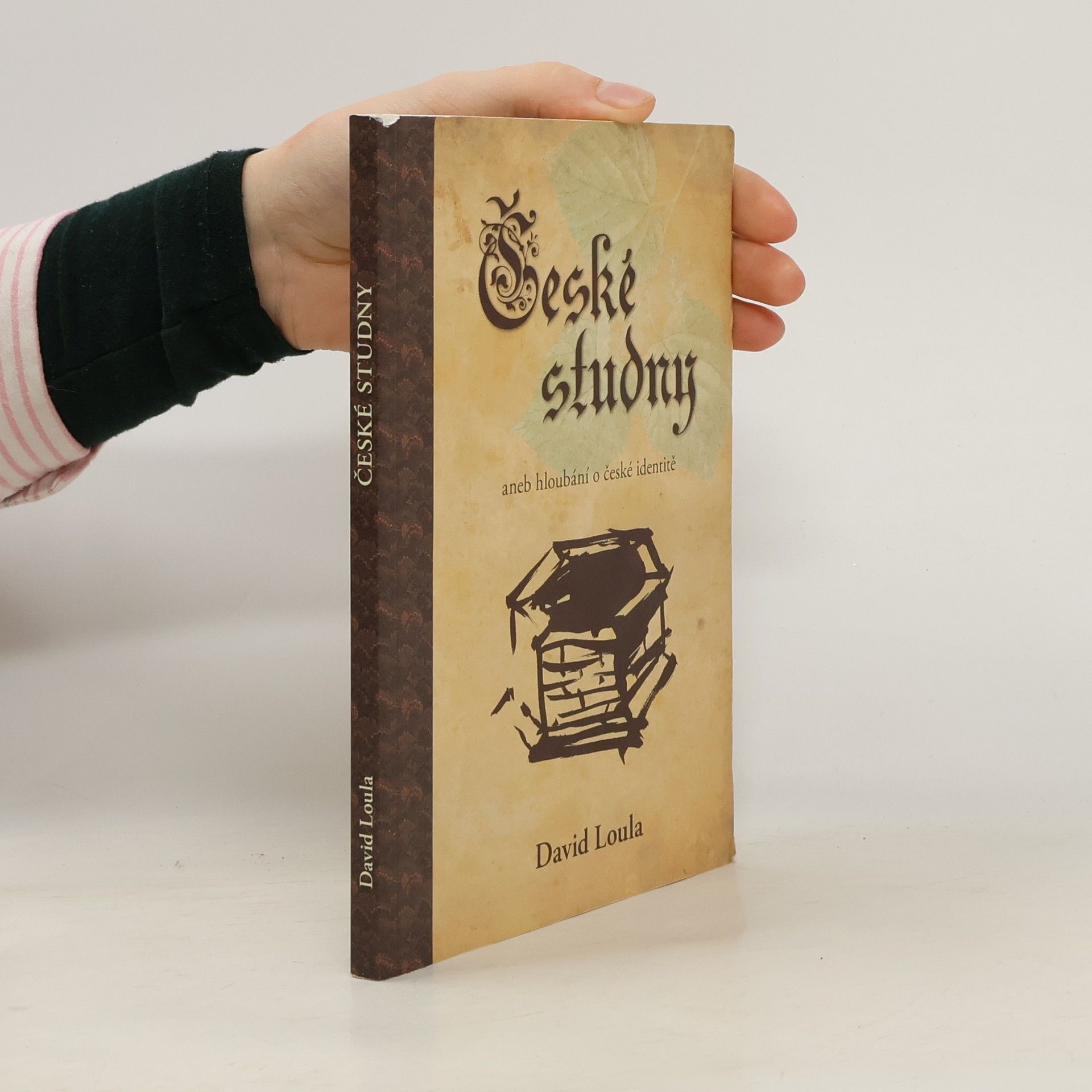 David Loula České studny, aneb, Hloubání o české identitě
