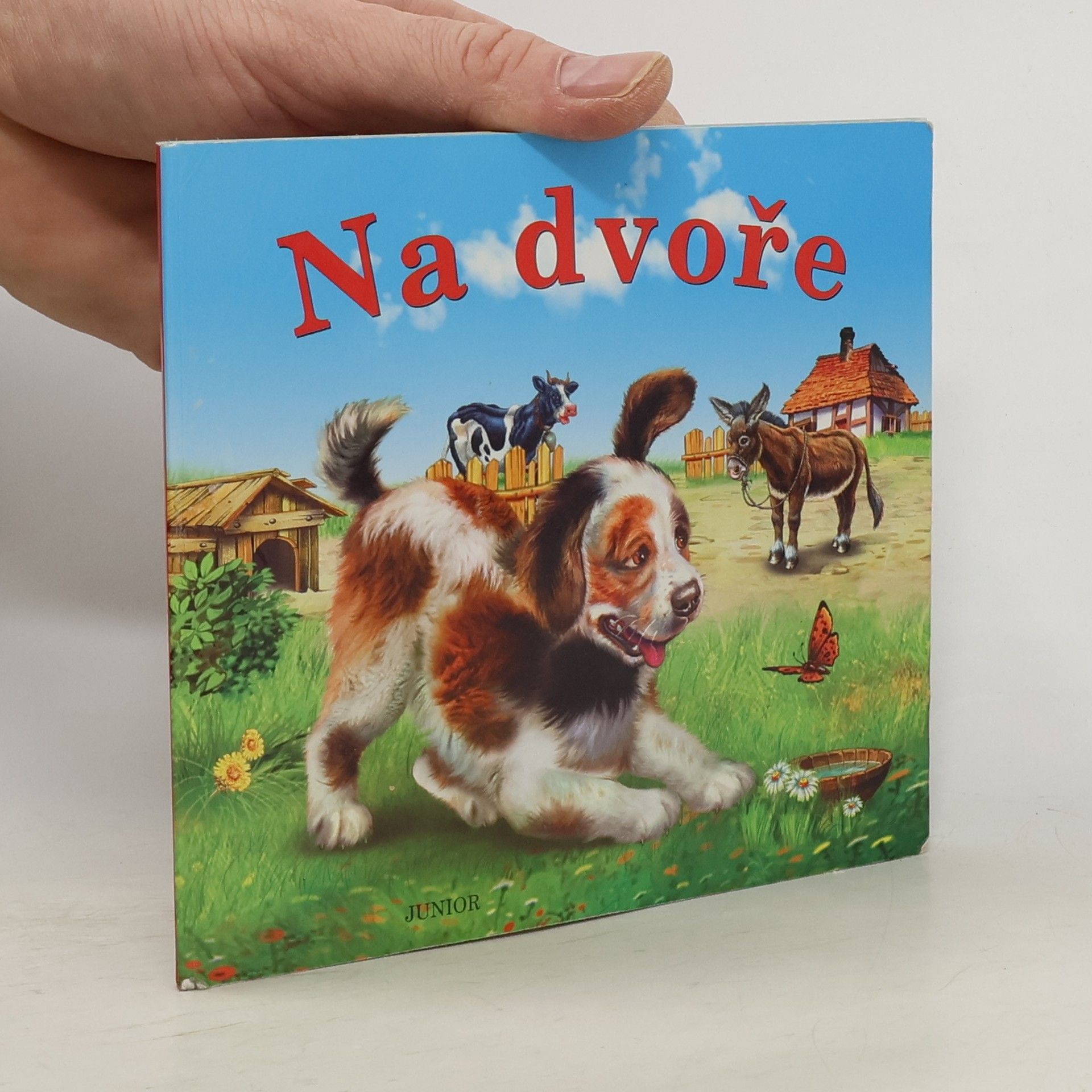 Zuzana Pospíšilová Na dvoře