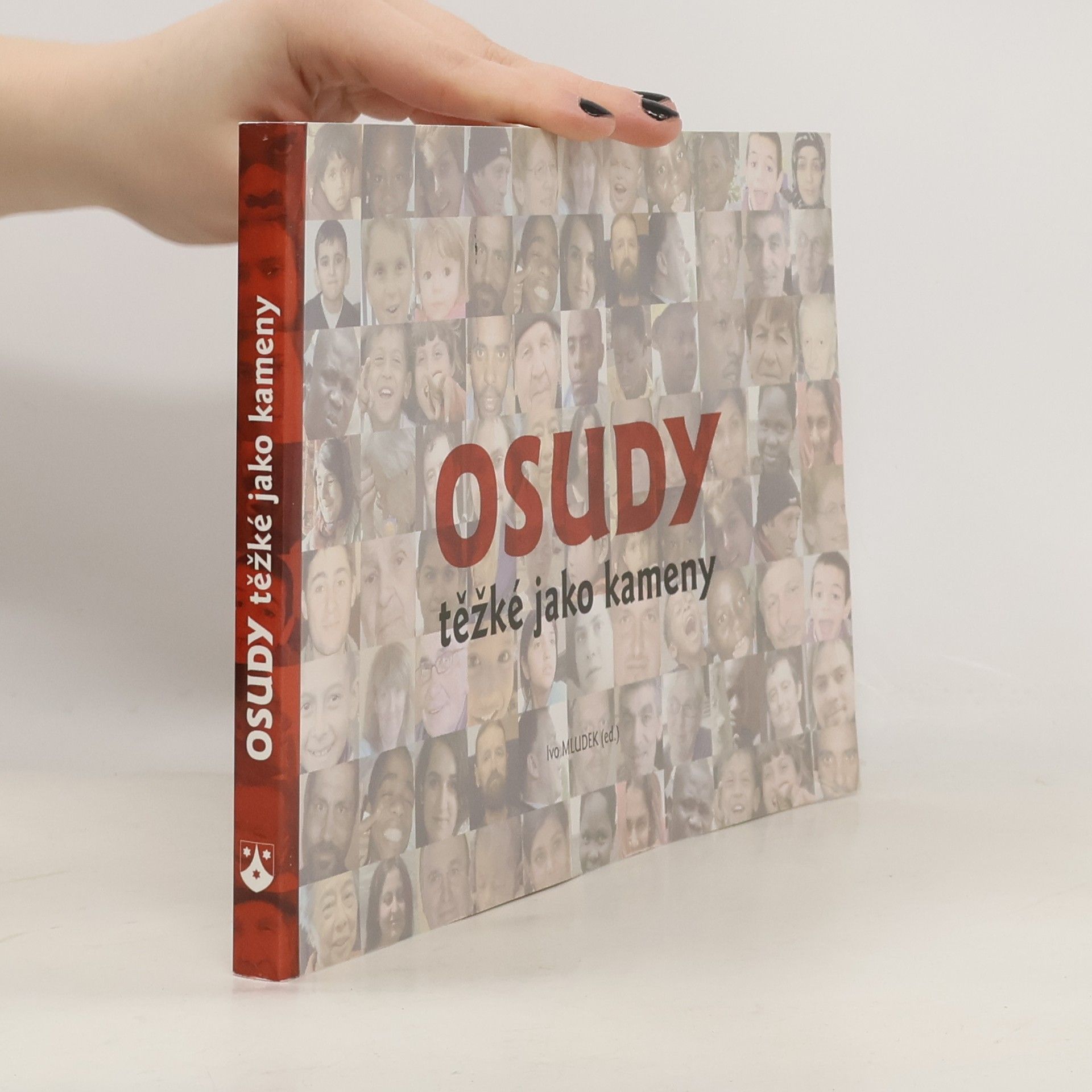 Ivo Mludek Osudy těžké jako kameny