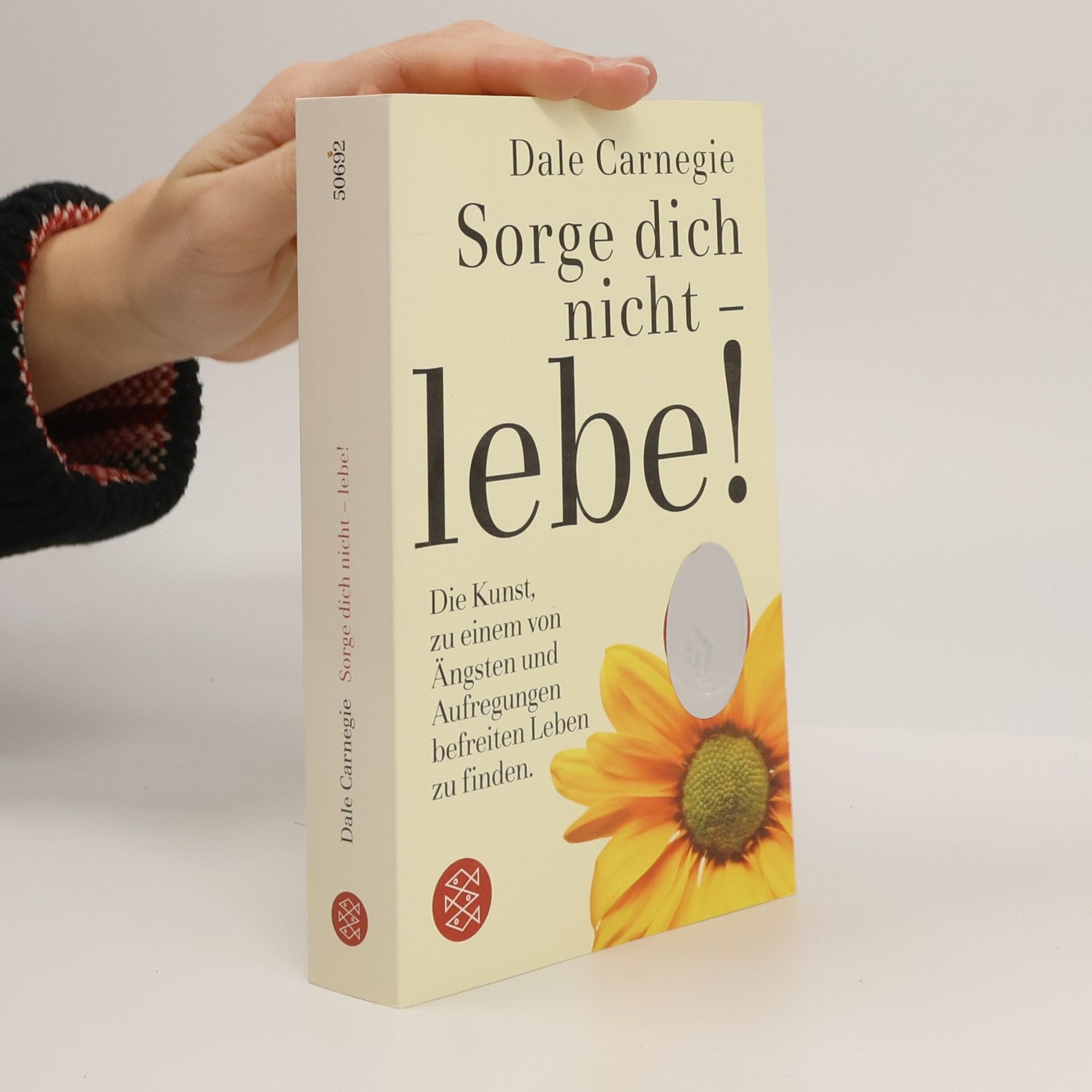 Dale Carnegie Sorge dich nicht - lebe!
