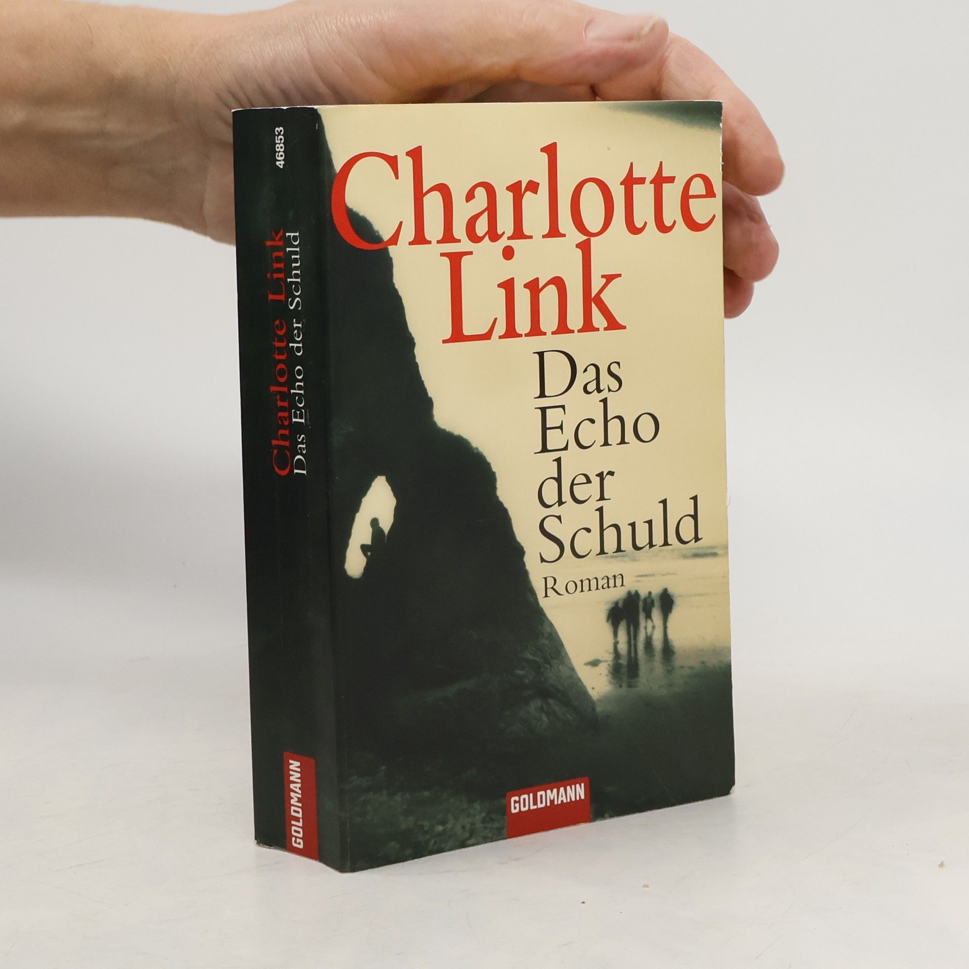 Charlotte Link Das Echo der Schuld