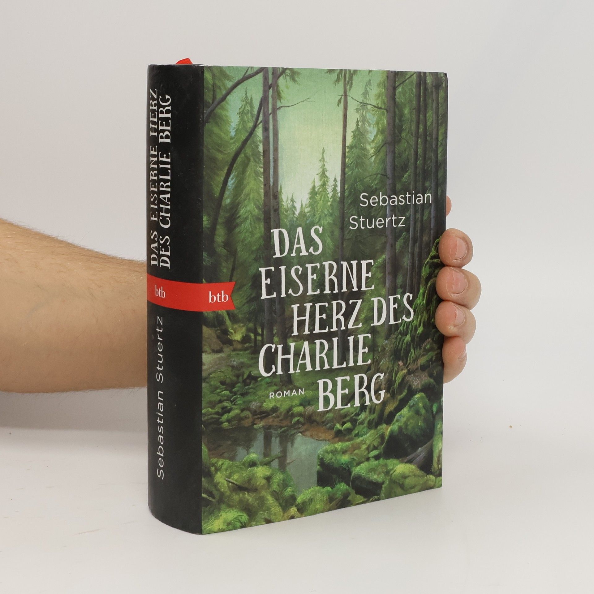 Sebastian Stuertz Das eiserne Herz des Charlie Berg