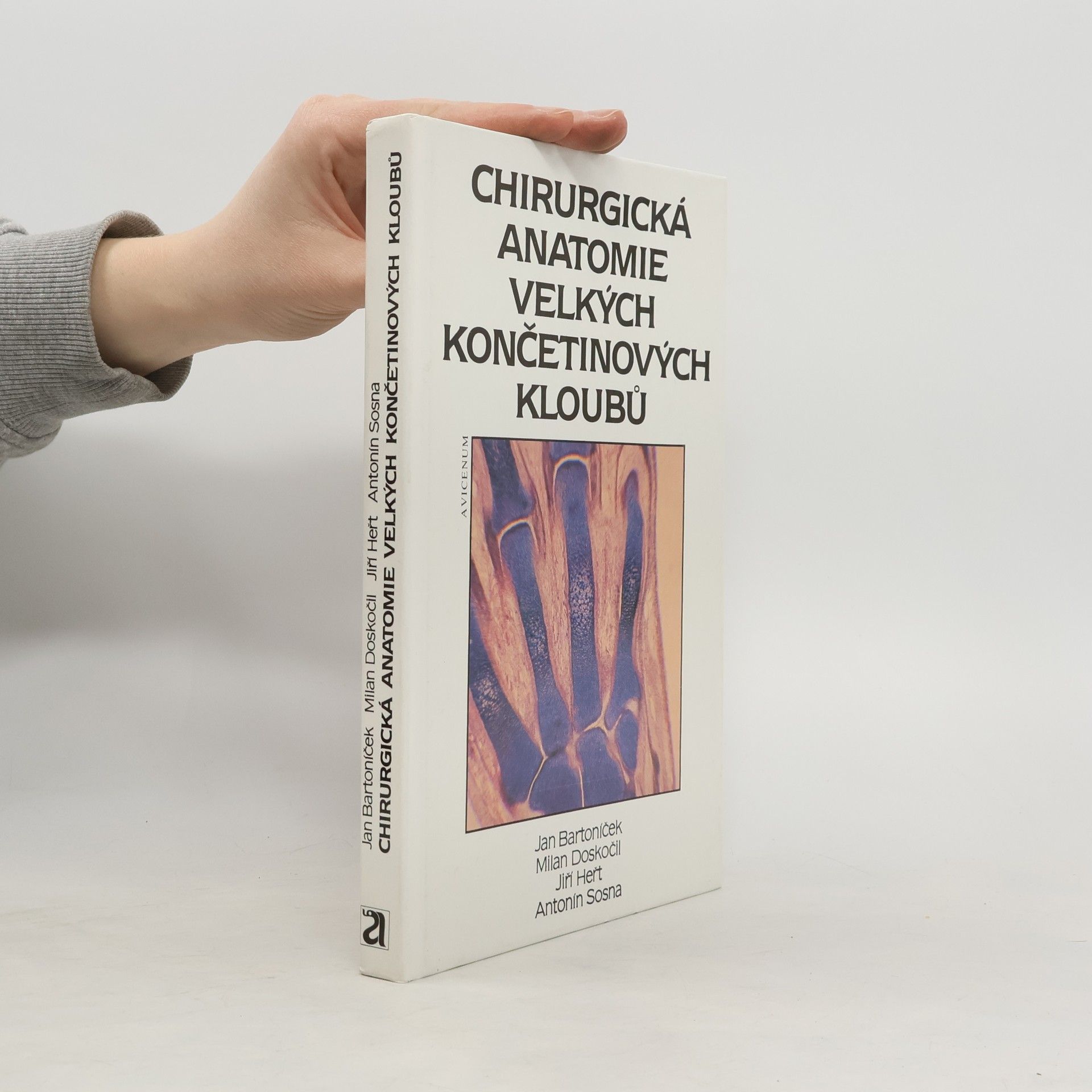 Jan Bartoníček Chirurgická anatomie velkých končetinových kloubů