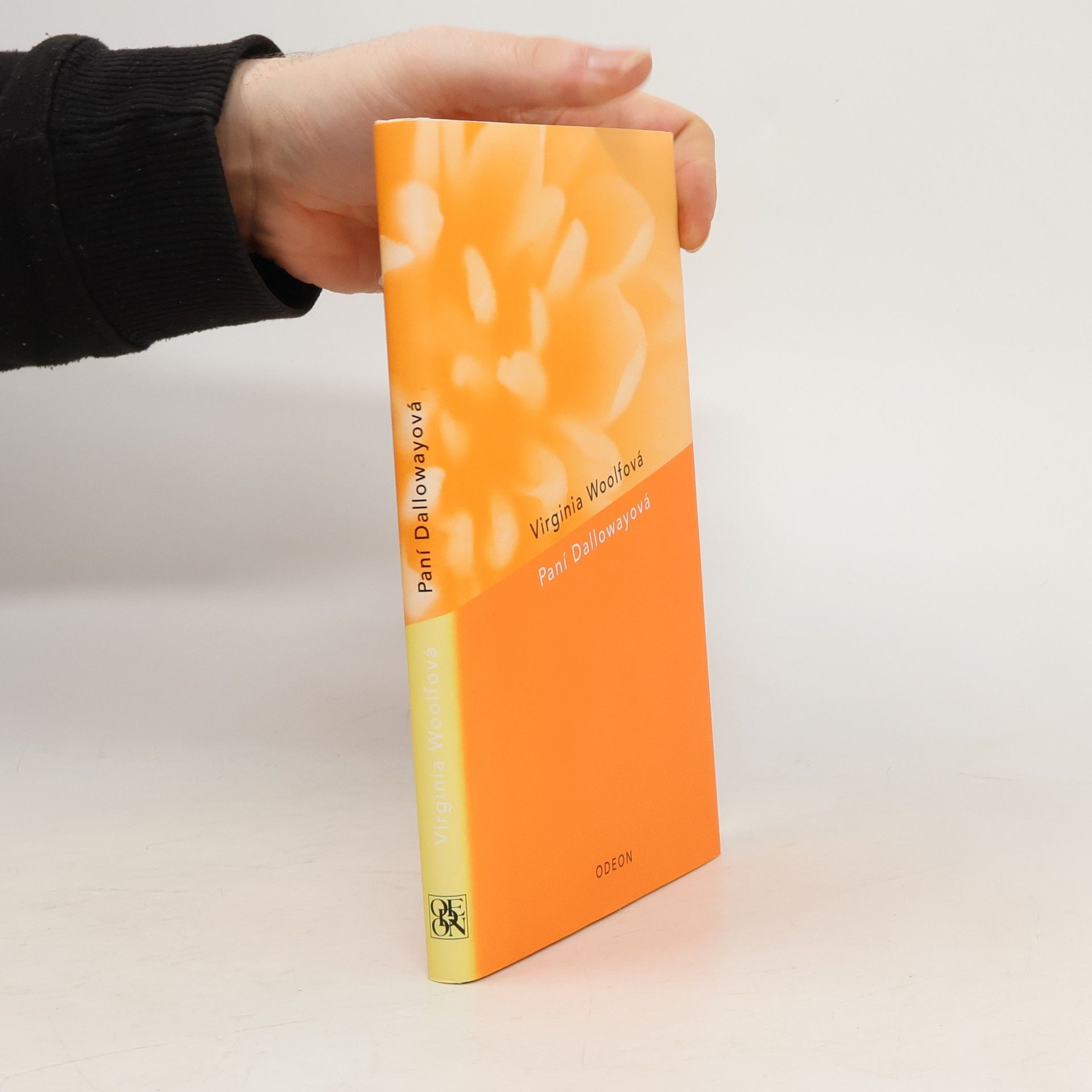 Virginia Woolf Paní Dallowayová
