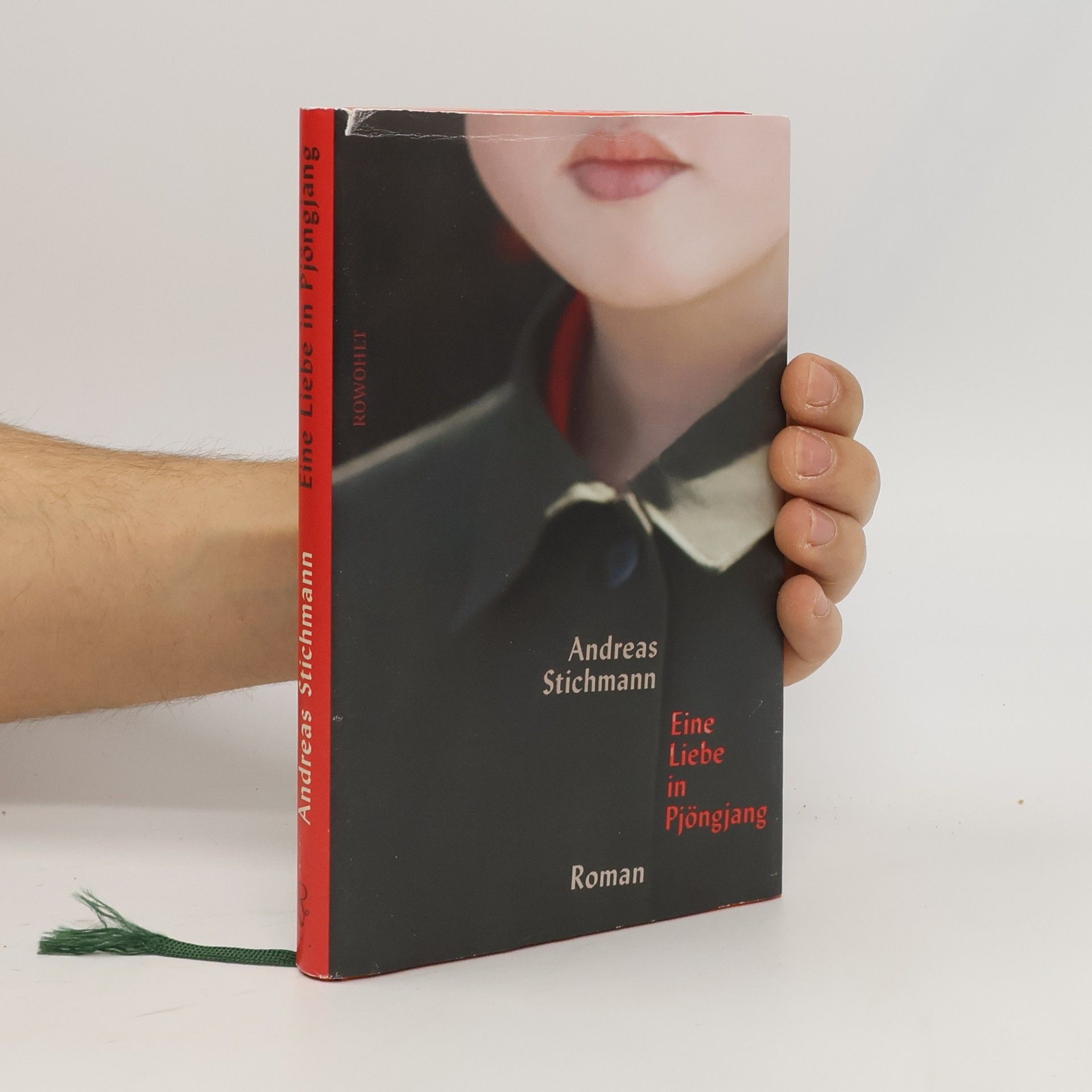 Andreas Stichmann Eine Liebe in Pjöngjang