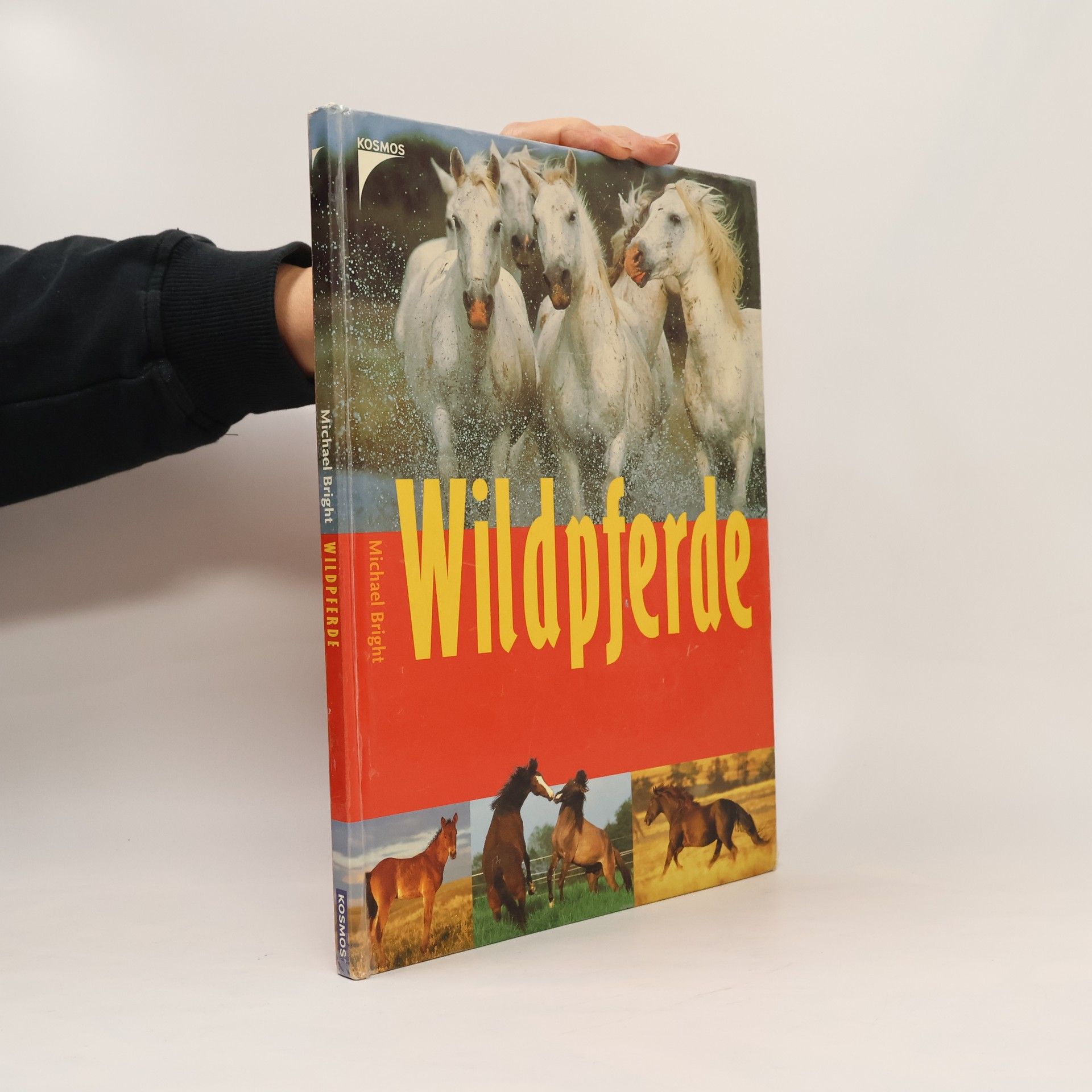 Michael Bright Wildpferde