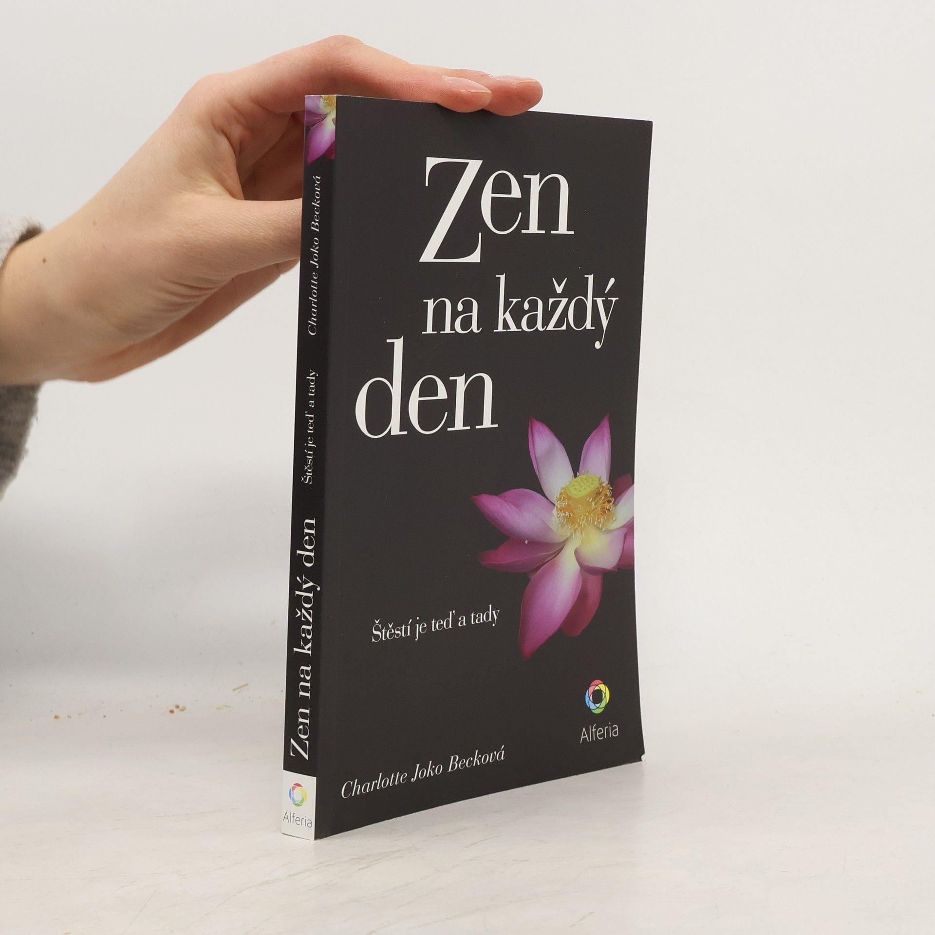 Joko Beck Zen na každý den