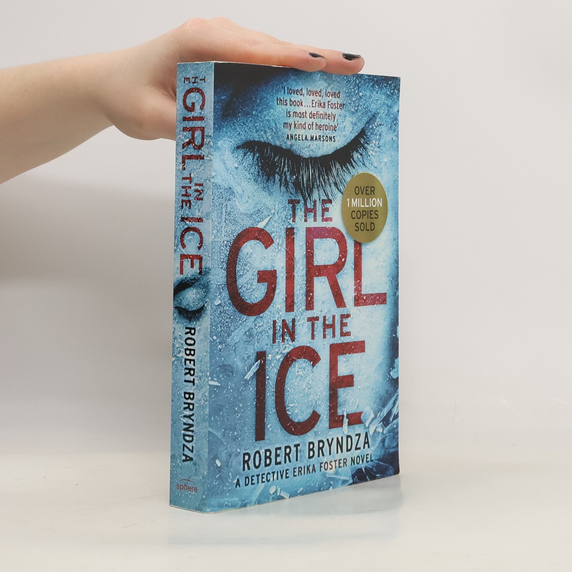 Robert Bryndza The Girl in The Ice