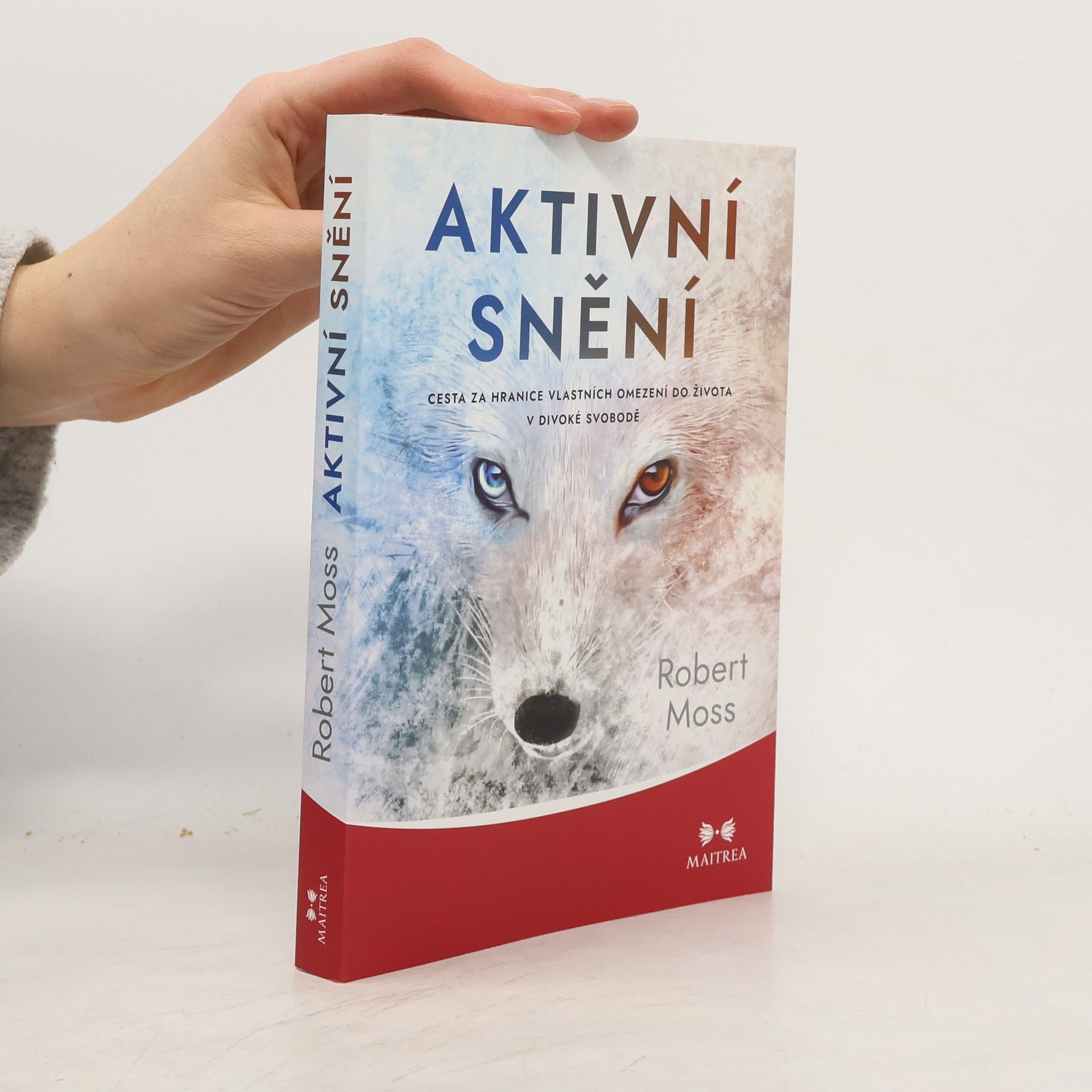 Robert Moss Aktivní snění