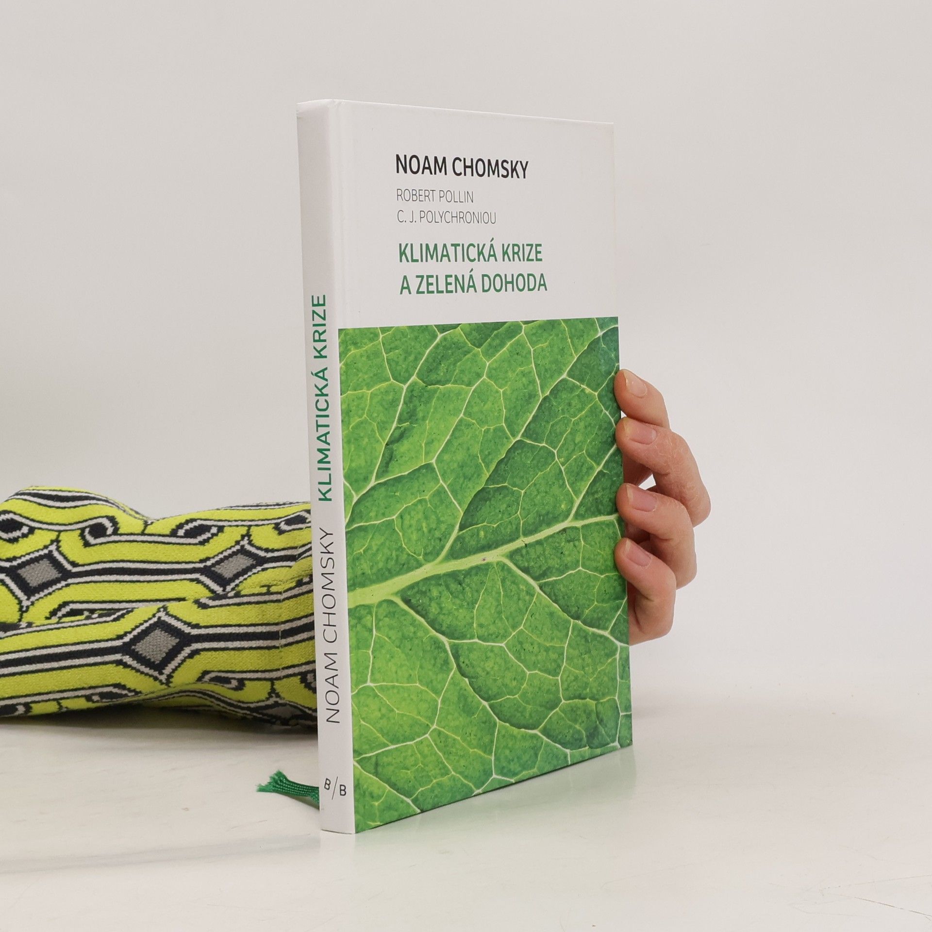 Noam Chomsky Klimatická krize a zelená dohoda