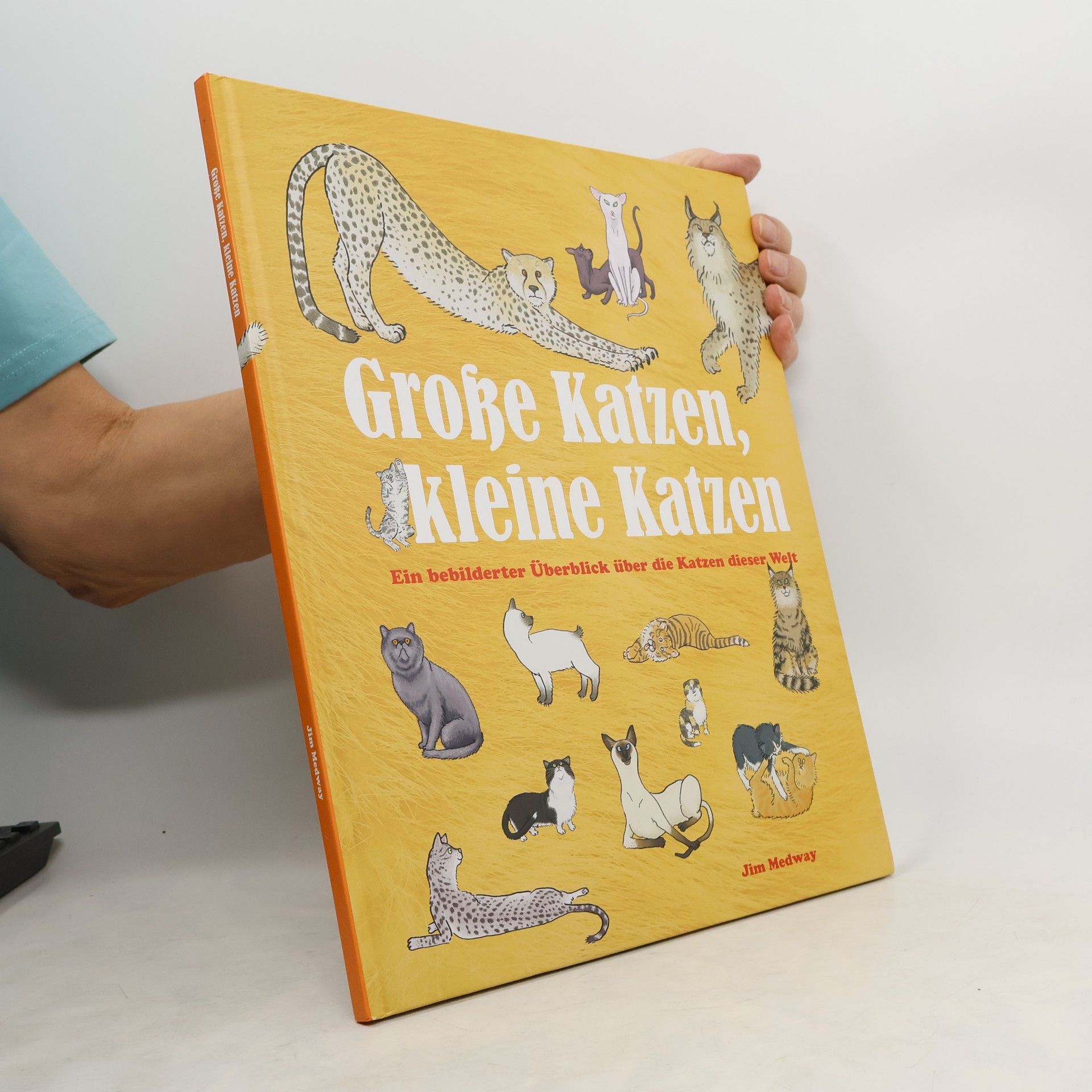 Jim Medway Große Katzen, kleine Katzen