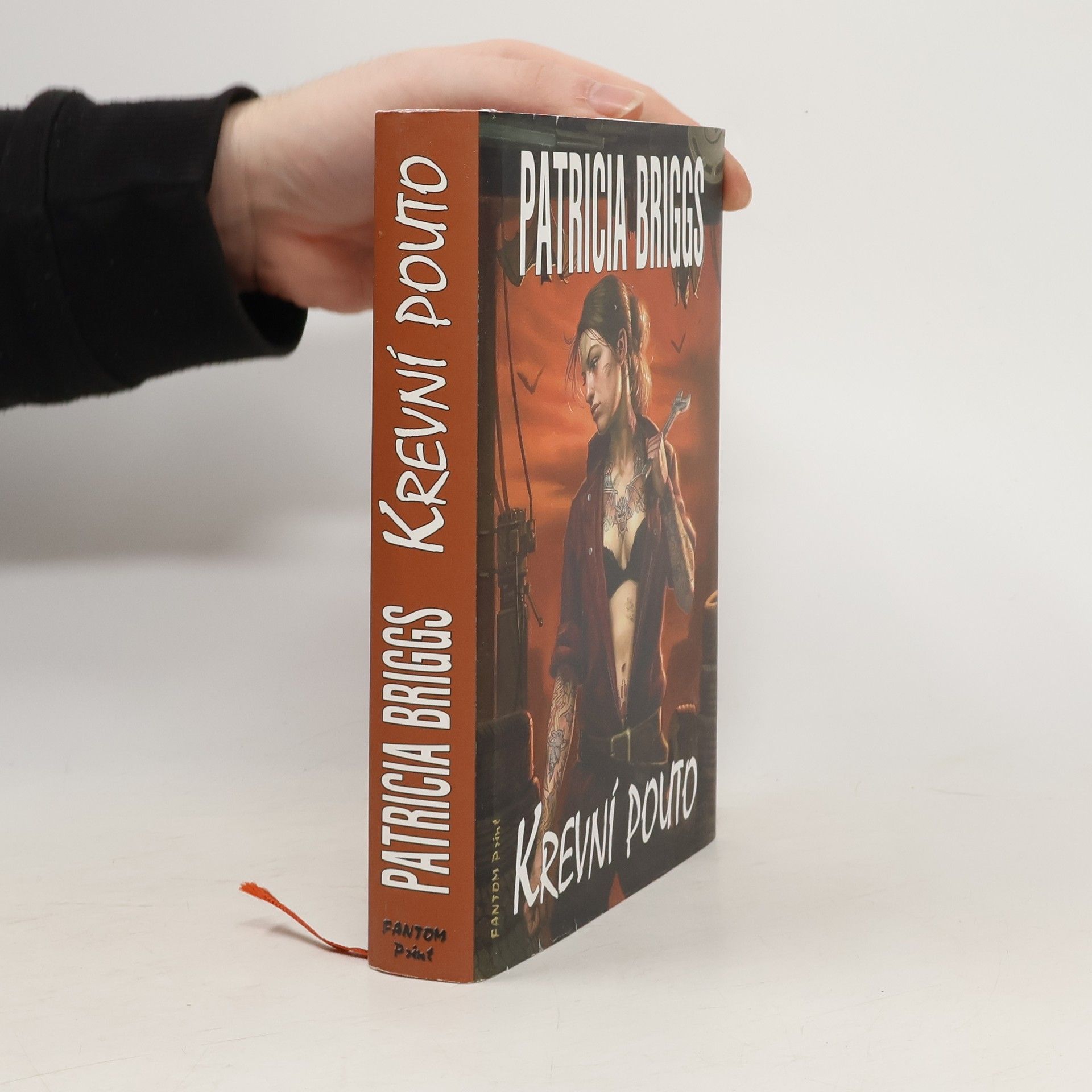 Patricia Briggs Krevní pouto