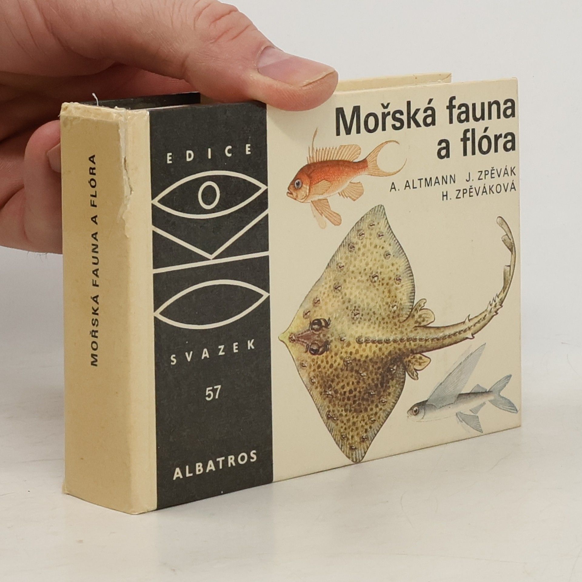 Antonín Altmann Mořská fauna a flóra