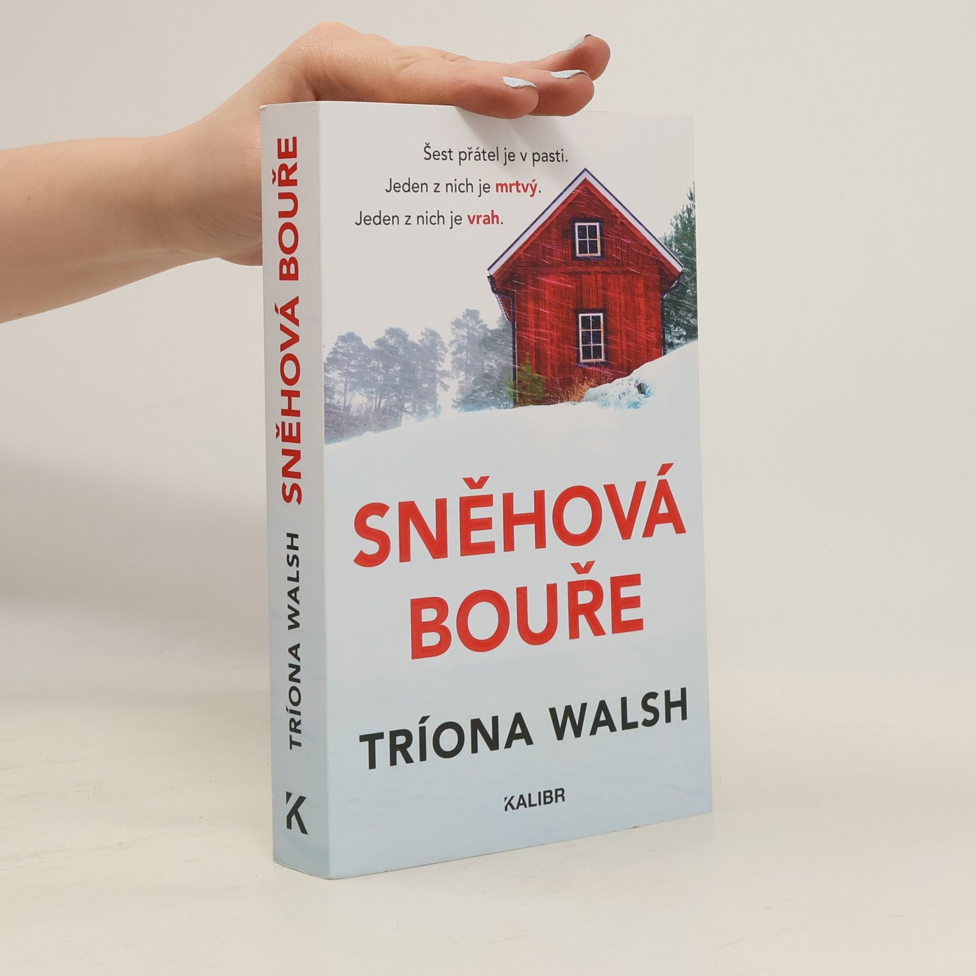 Tríona Walsh Sněhová bouře