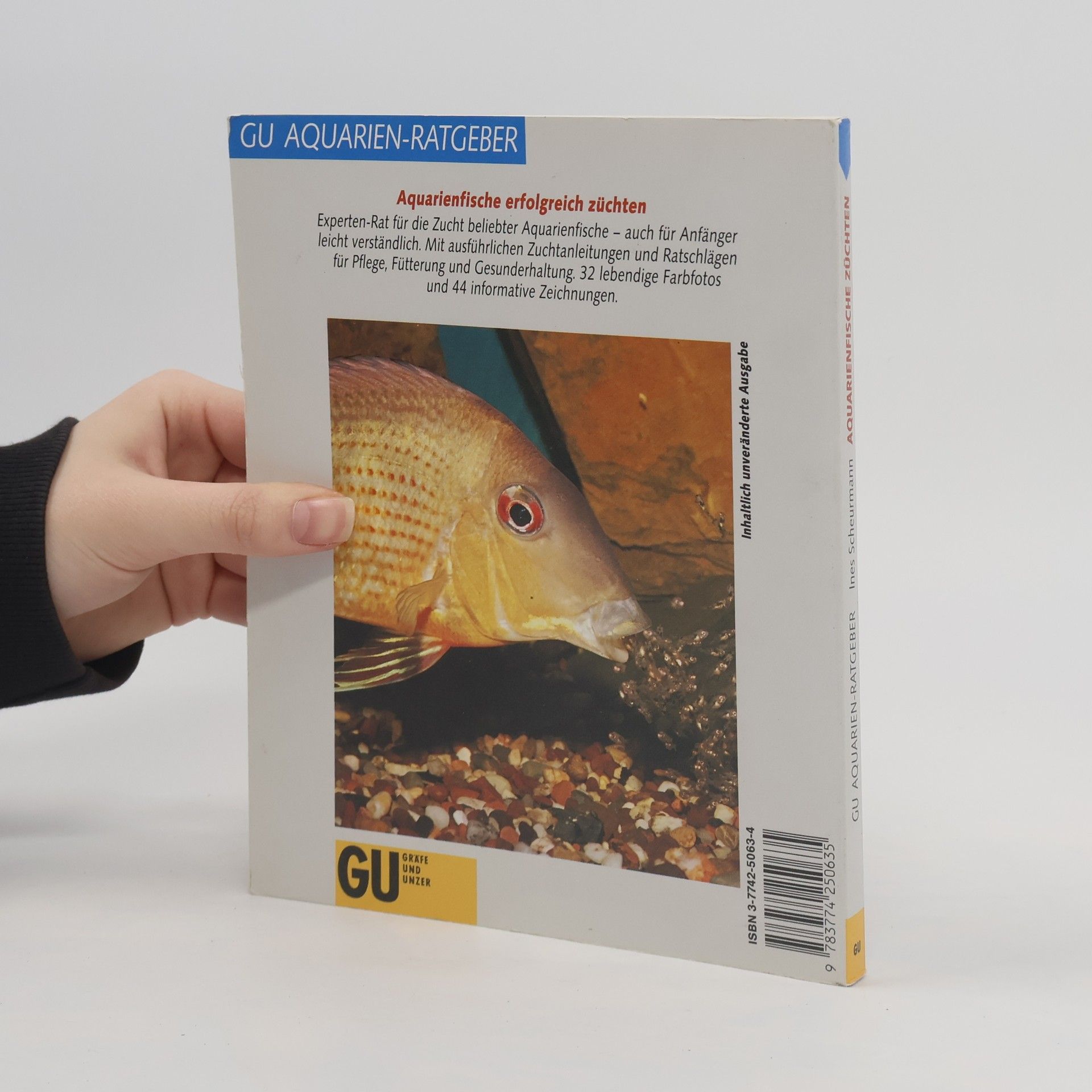 Ines Scheurmann Aquarienfische züchten