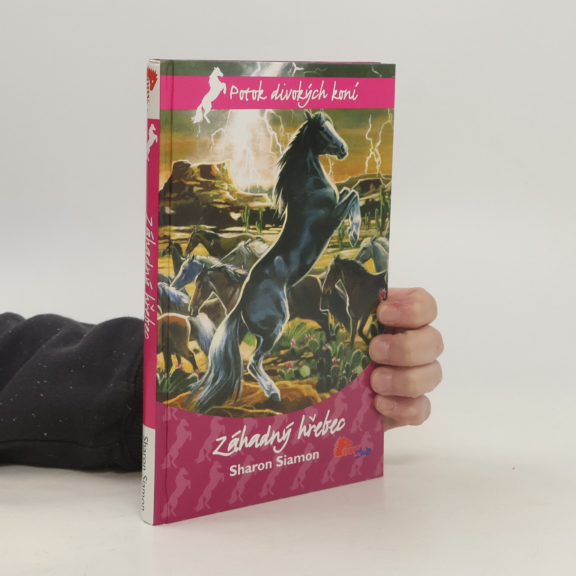 Sharon Siamon Záhadný hřebec
