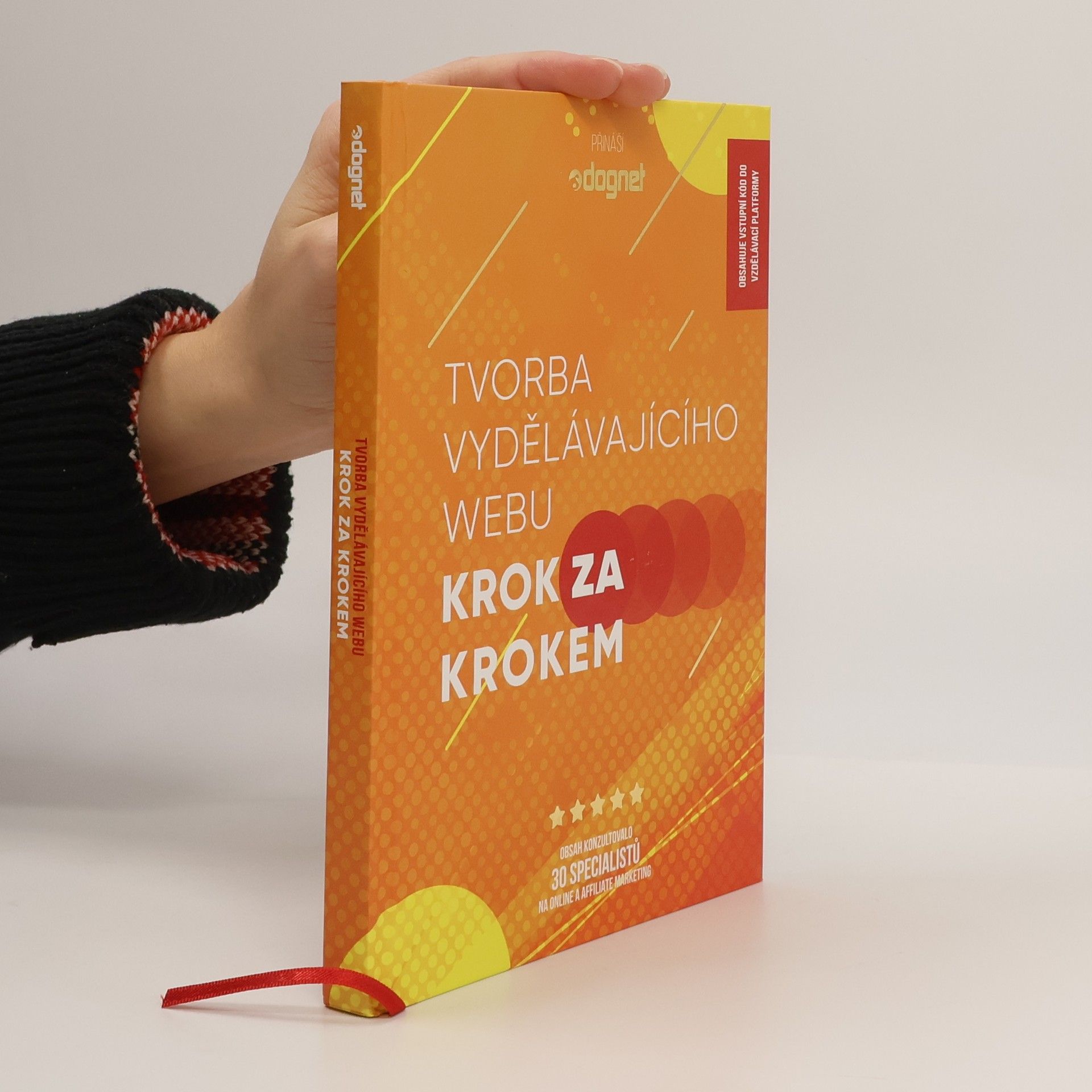 Hanka Čajková Tvorba vydělávajícího webu : krok za krokem