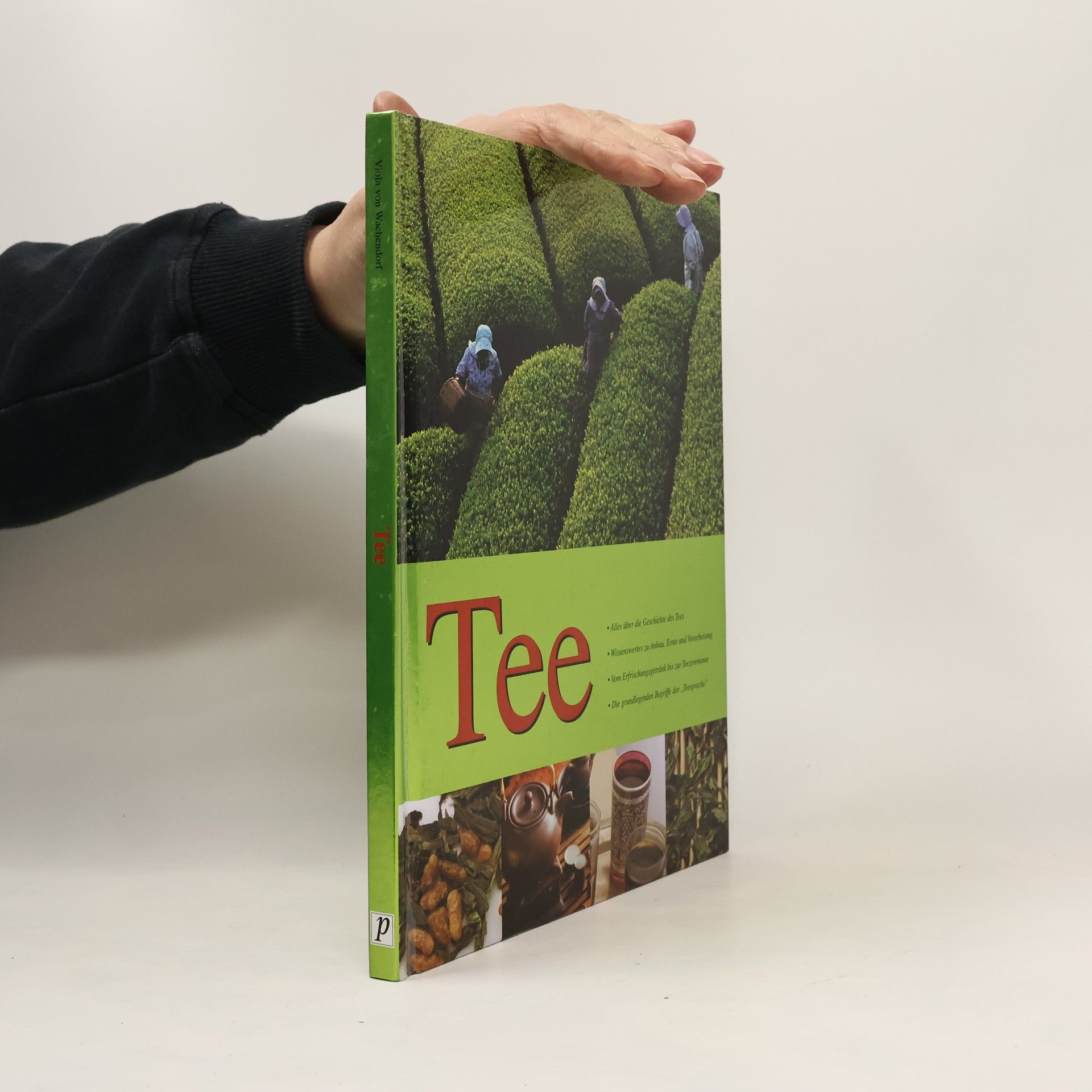 Viola von Wachendorf Tee