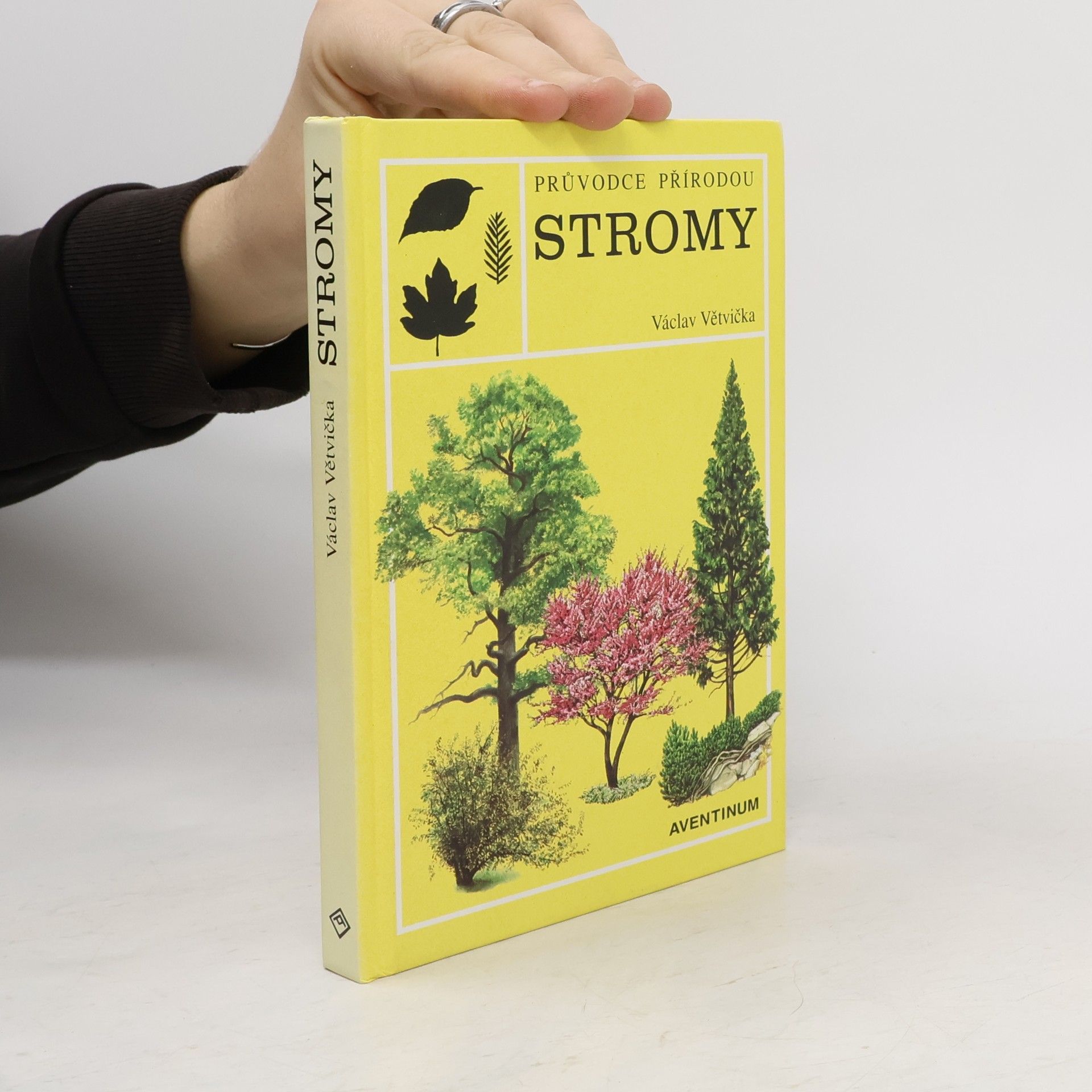 Václav Větvička Evropské stromy