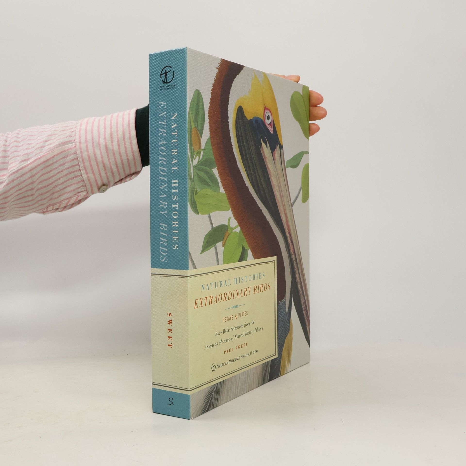 Paul Sweet Extraordinary Birds