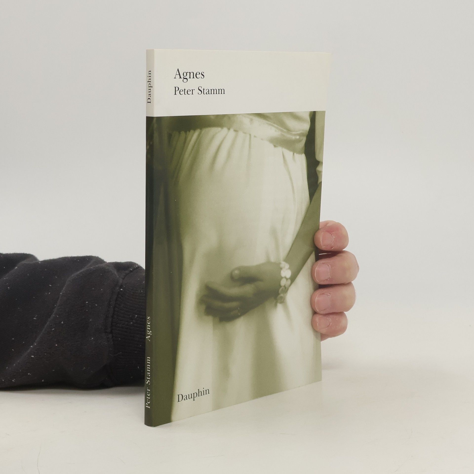 Peter Stamm Agnes