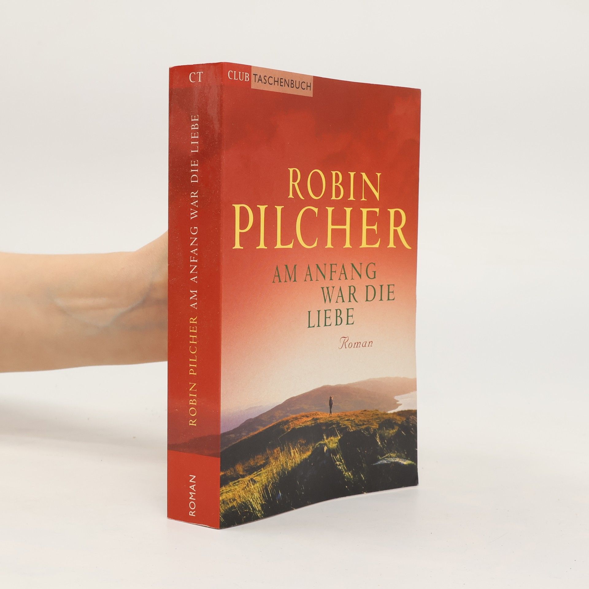 Robin Pilcher Am Anfang war die Liebe