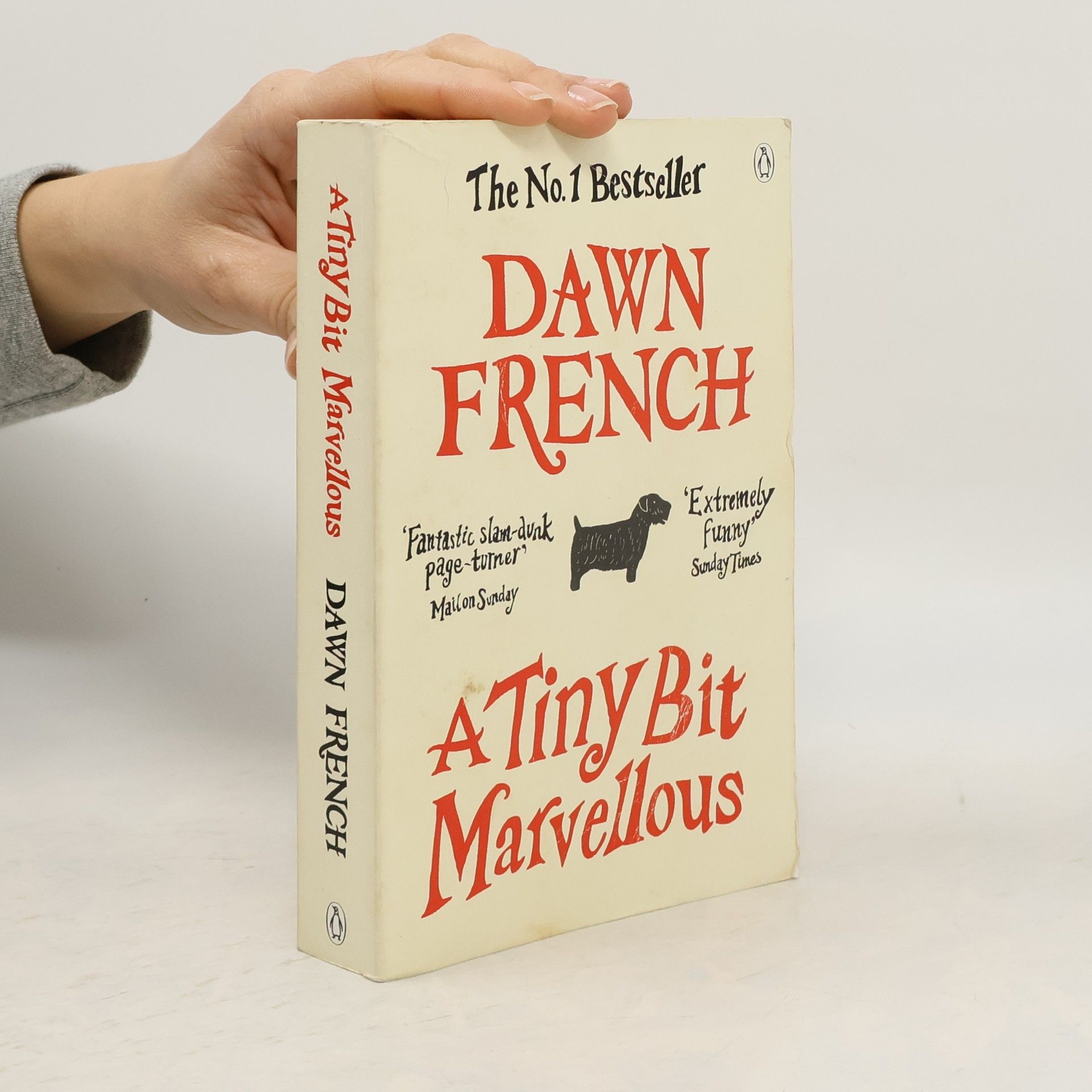 Dawn French A Tiny Bit Marvellous