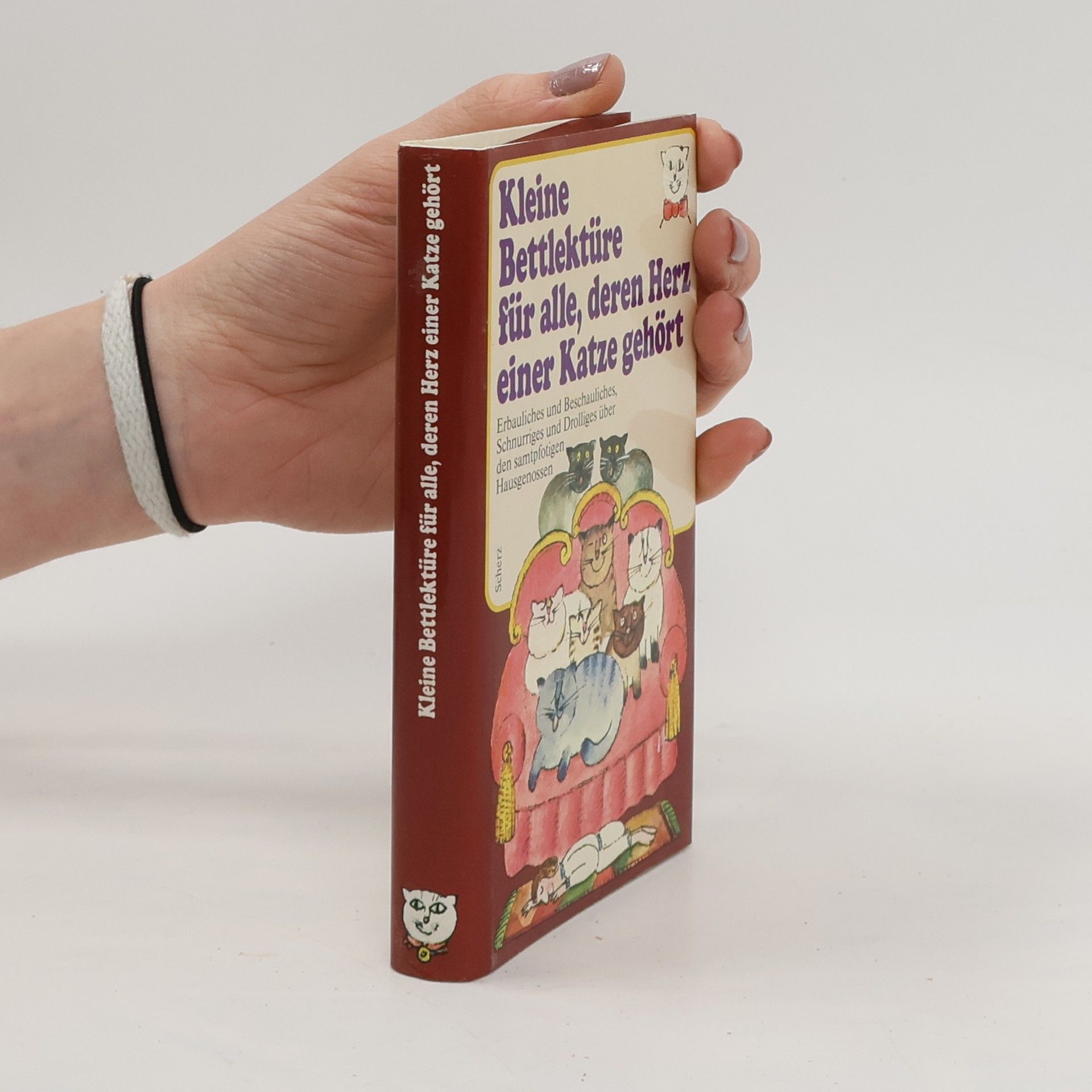 Autorenkollektiv Kleine Bettlektüre für alle, deren Herz einer Katze gehört