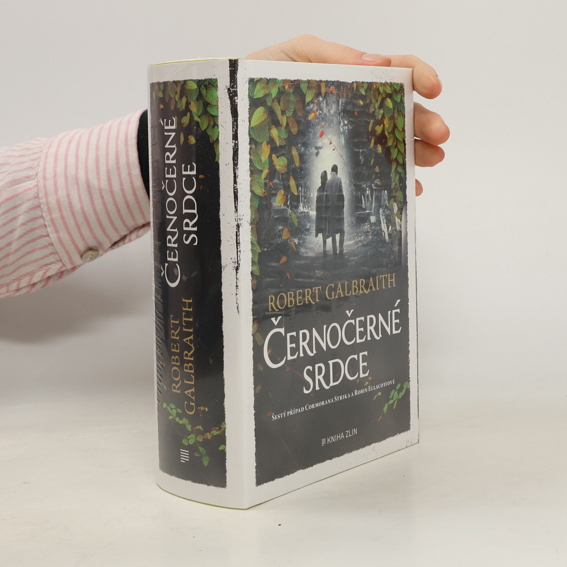 Robert Galbraith Černočerné srdce