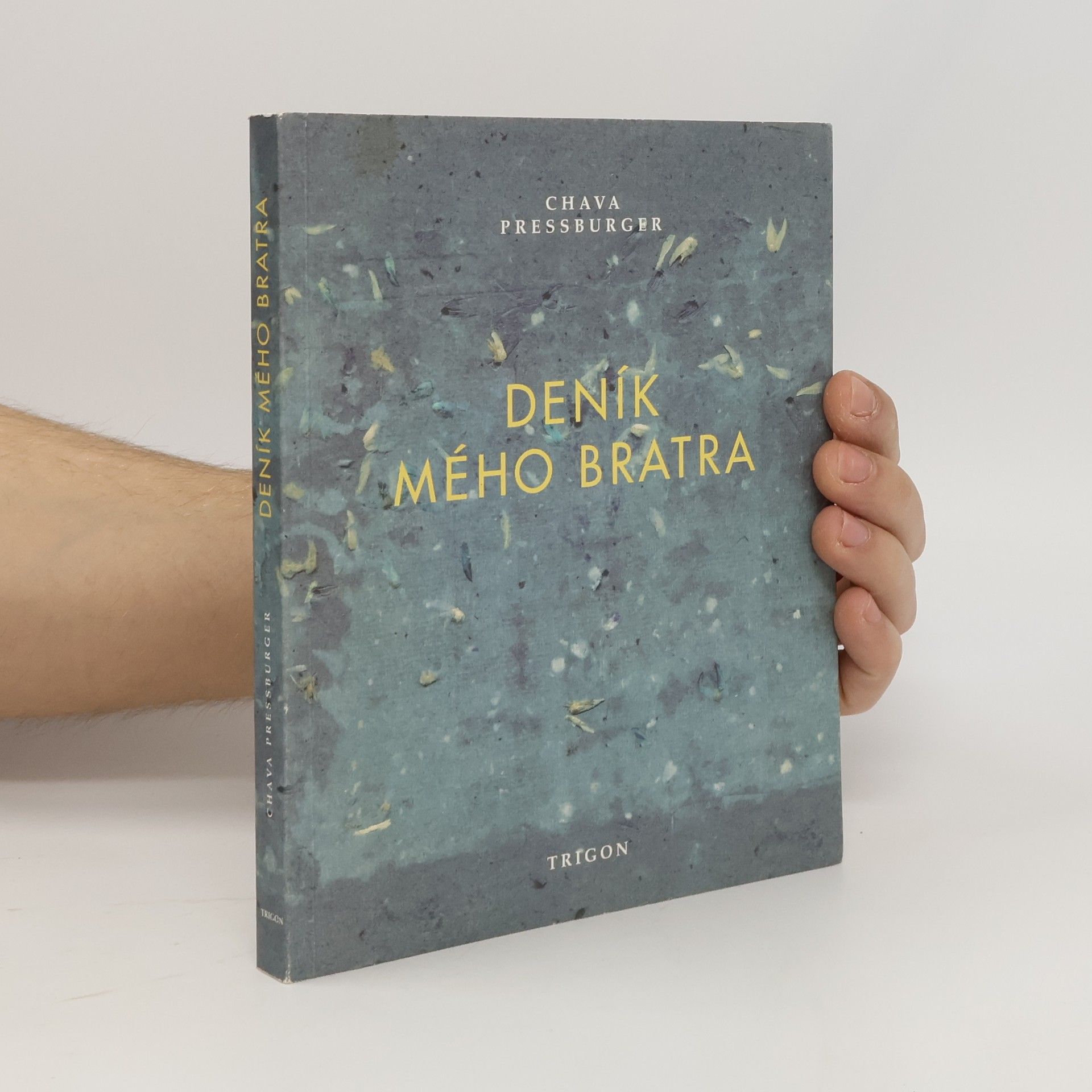 Chava Pressburger Deník mého bratra