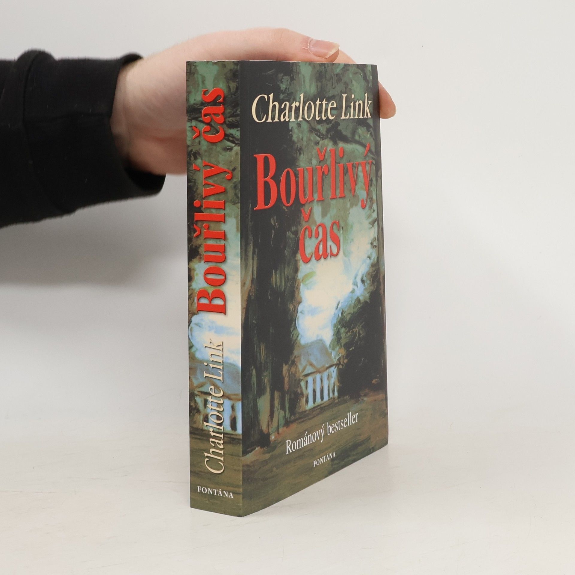 Charlotte Link Bouřlivý čas