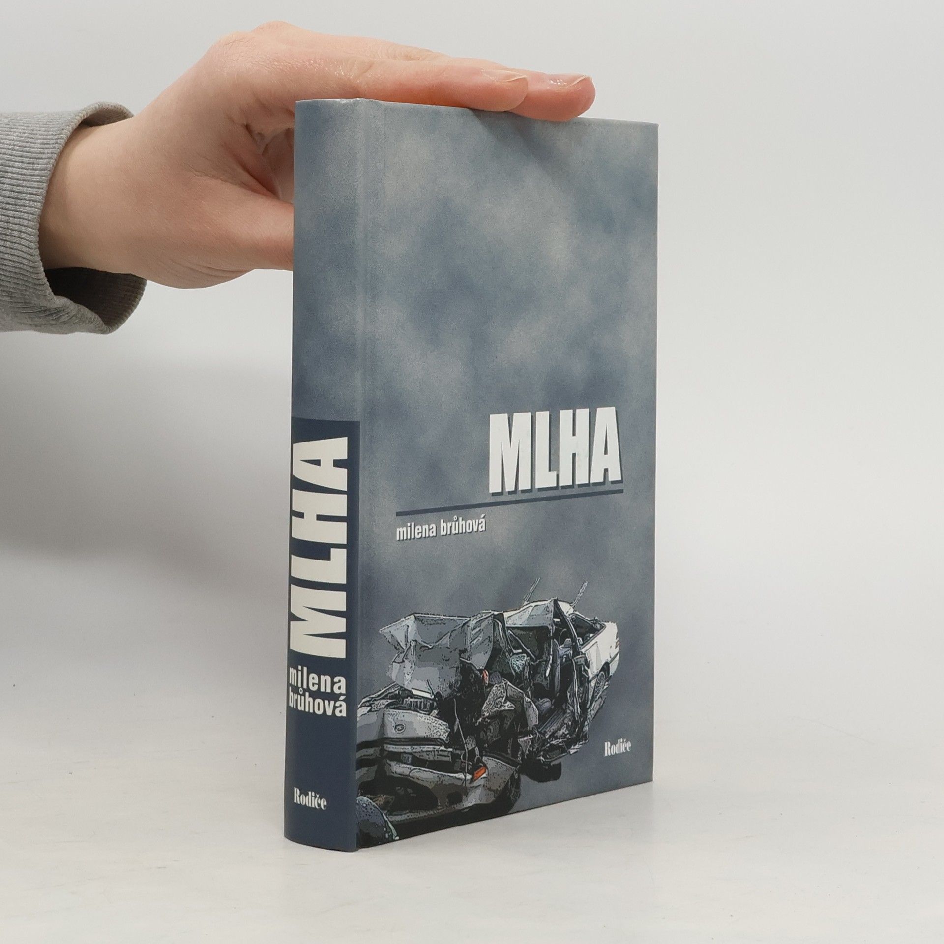 Milena Brůhová Mlha