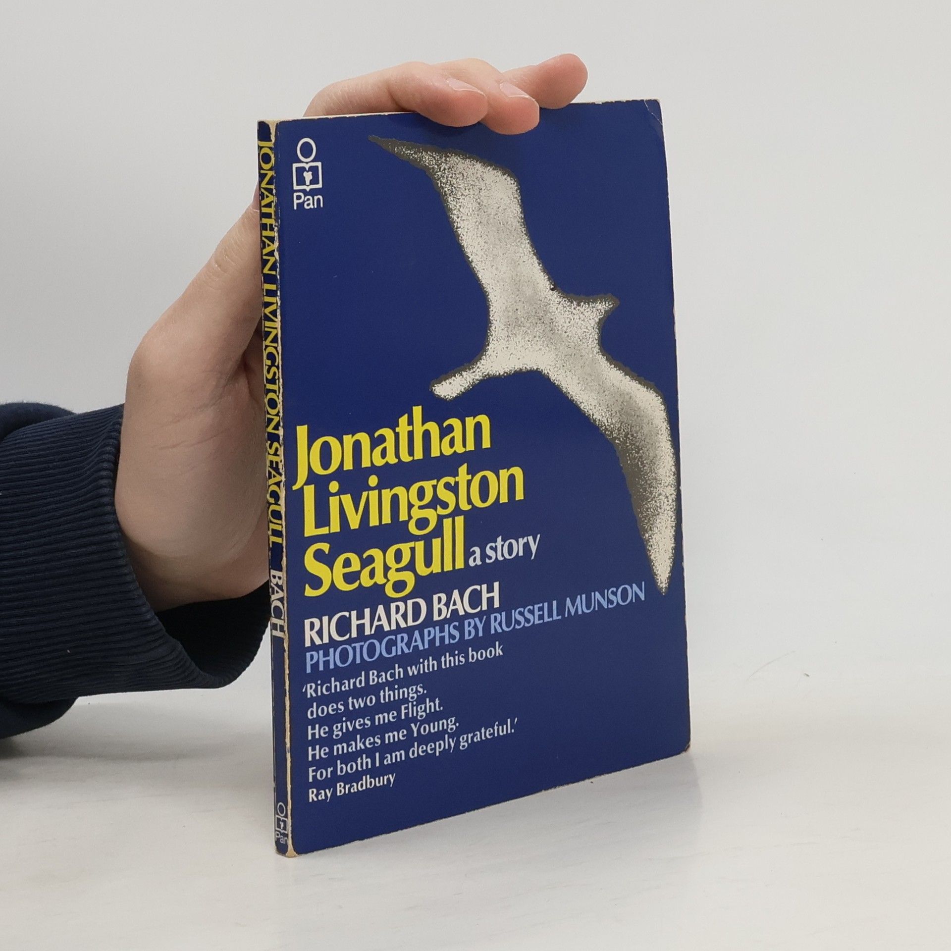 Jonathan Livingstone Seagull